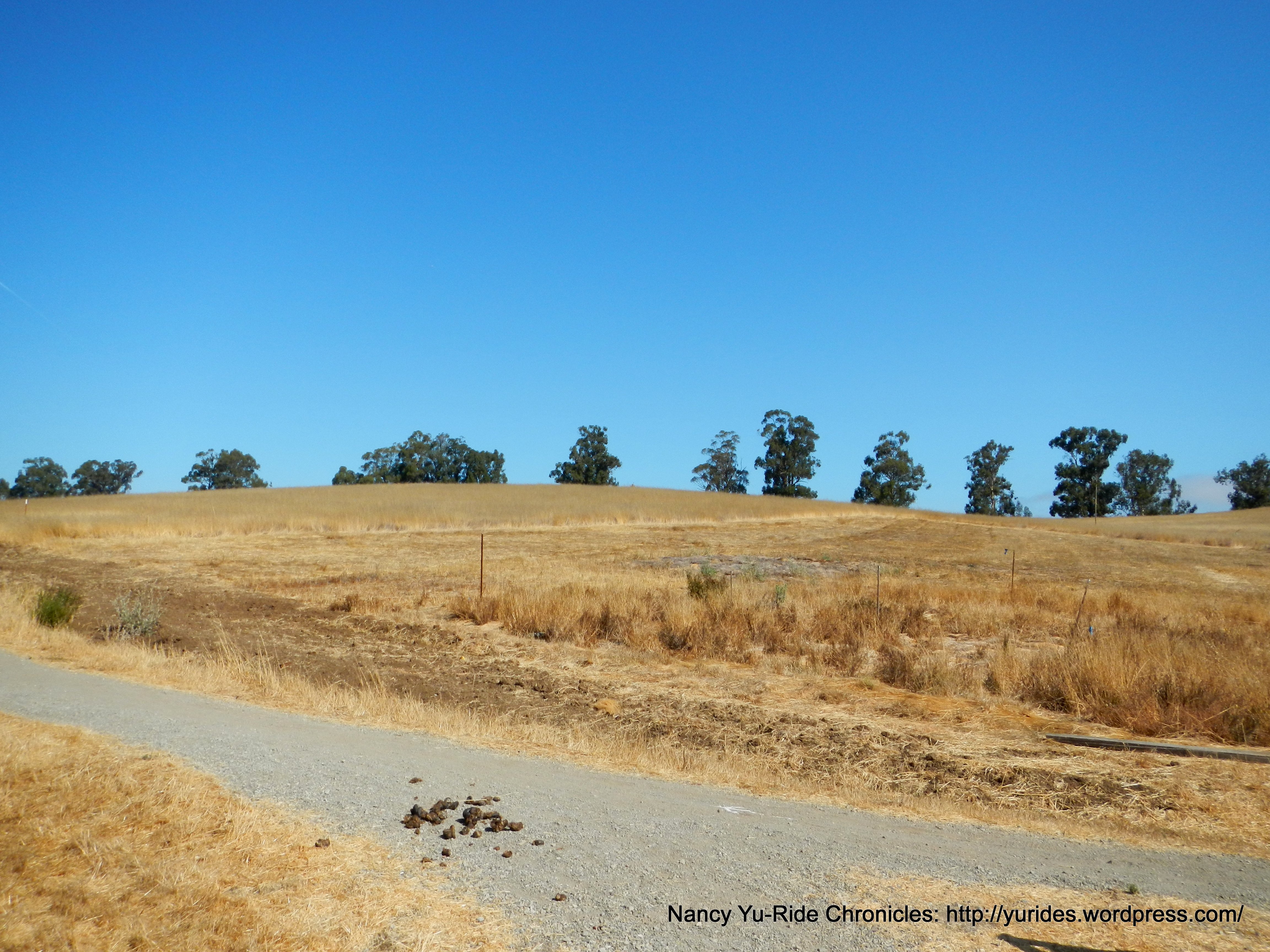 Pearson Arastrader Preserve