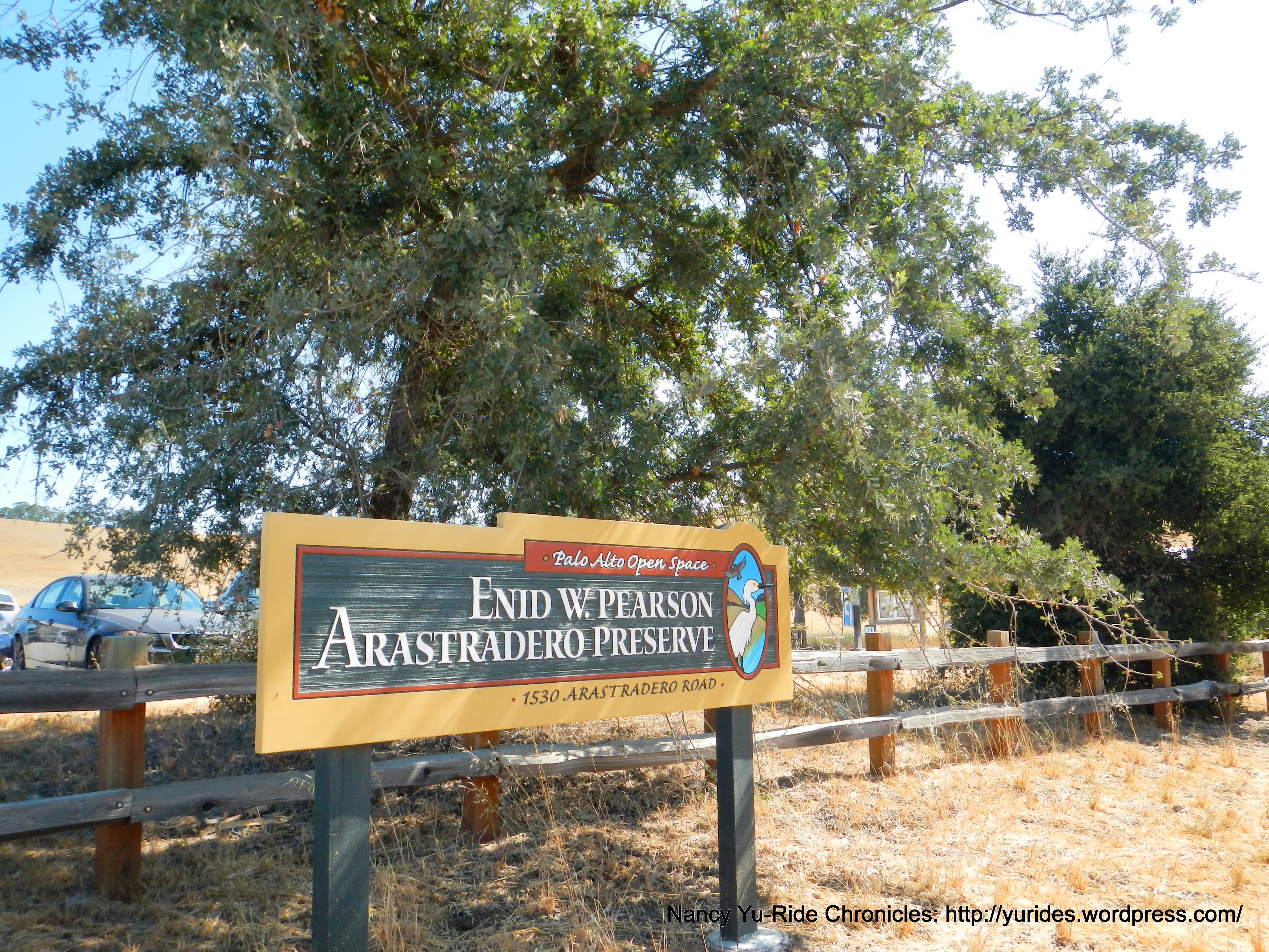 Pearson-Arastradero Preserve