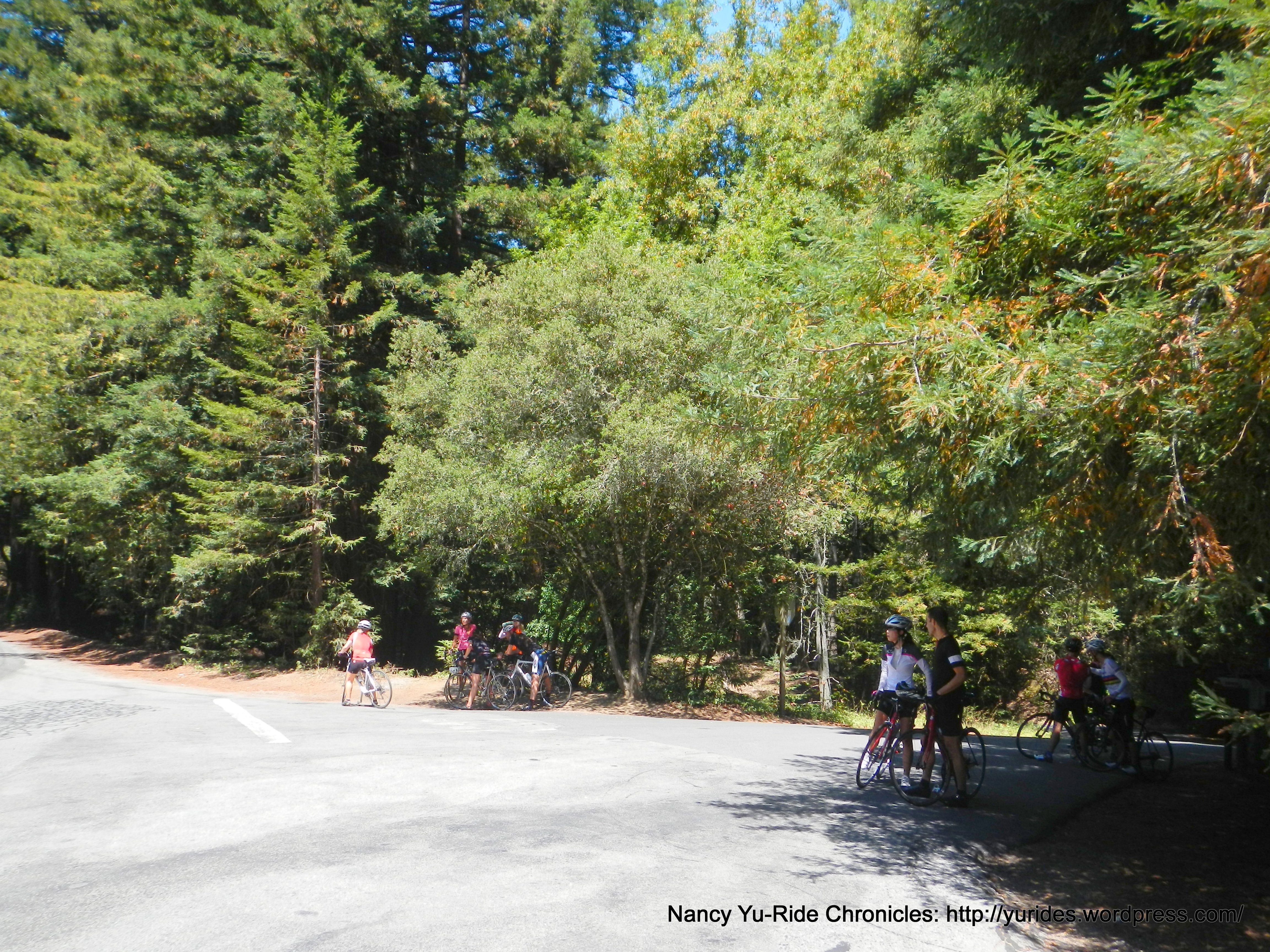 Skyline at Tunitas Crk