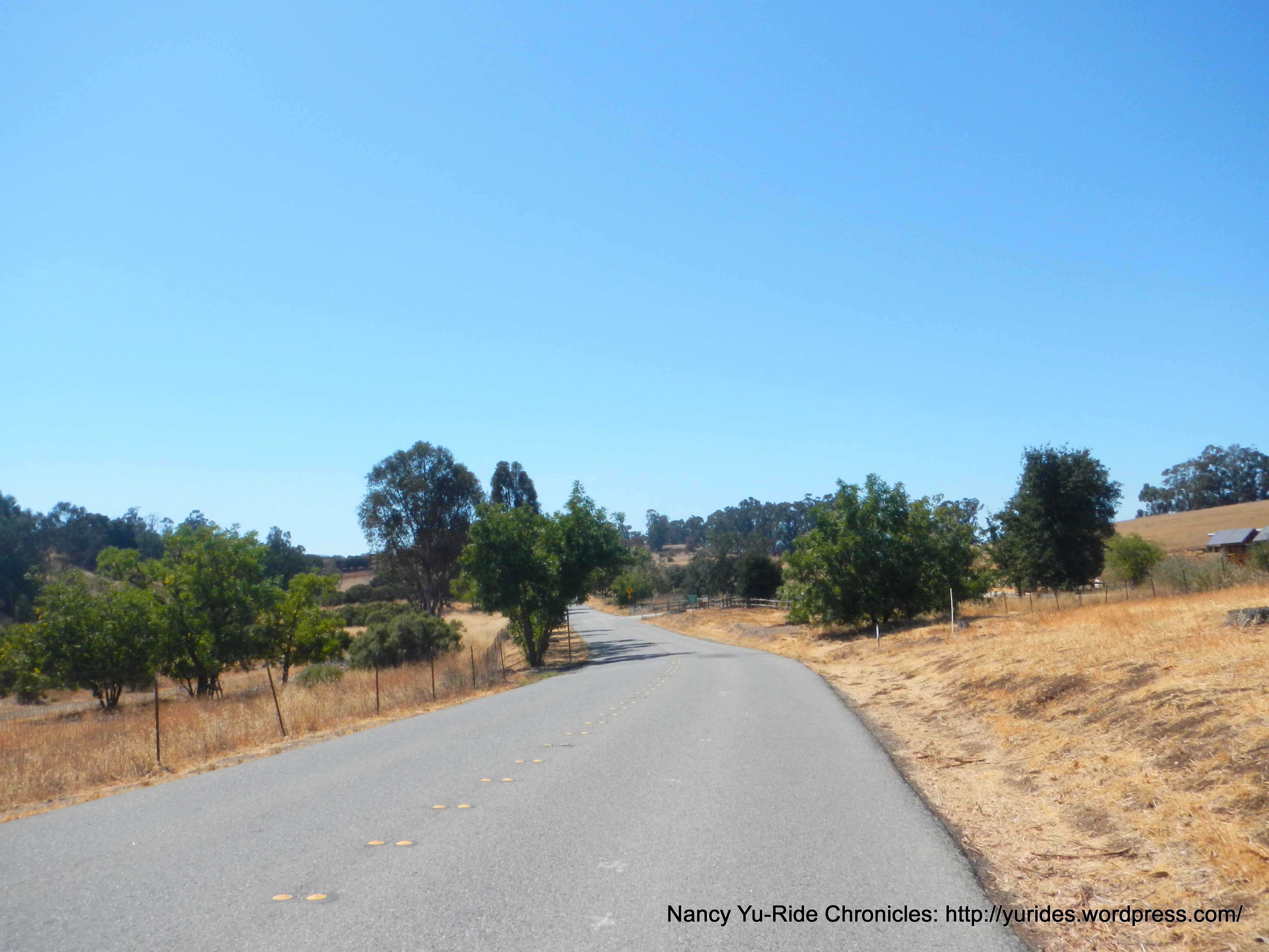Arastradero Rd