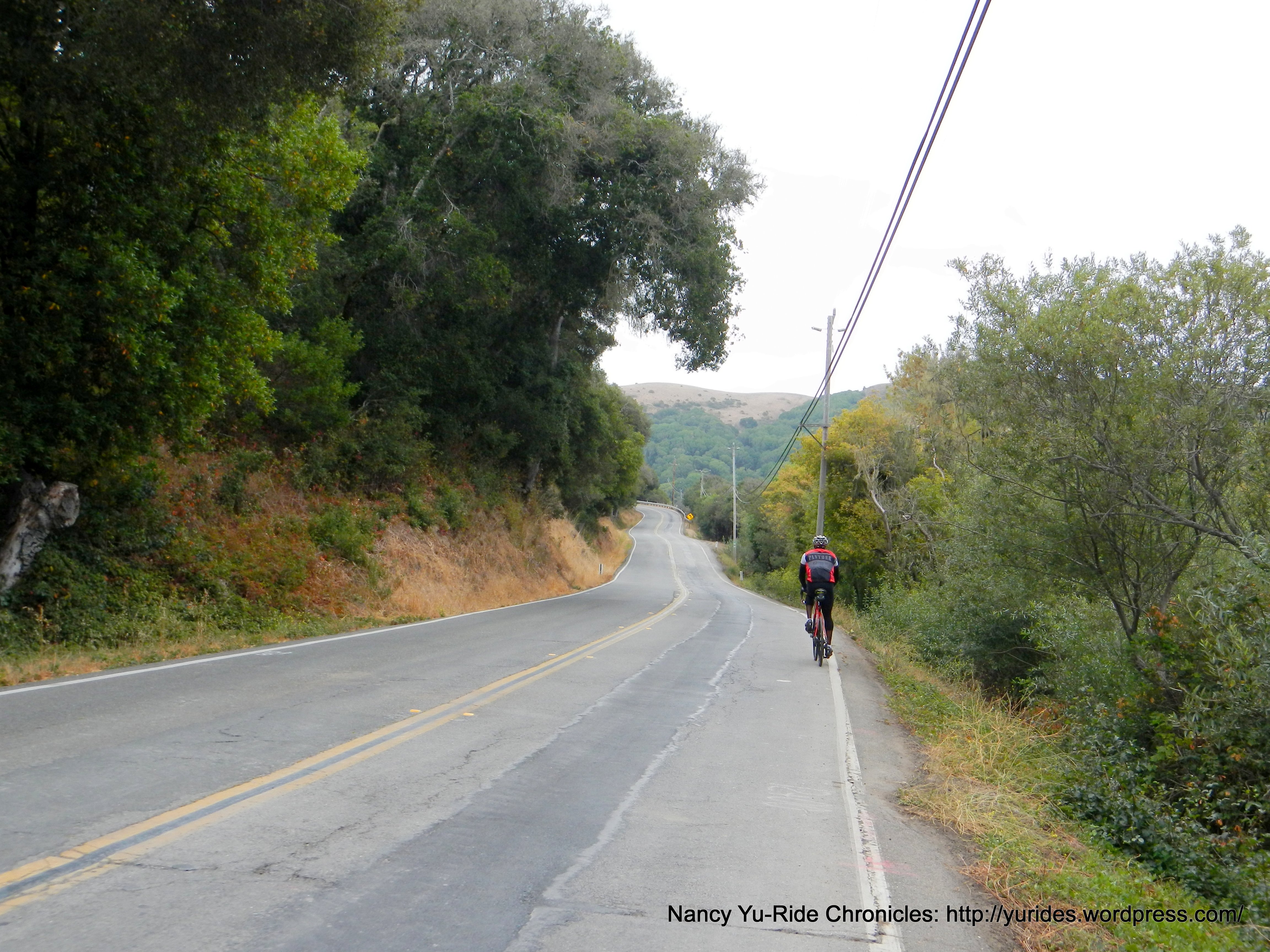 pt reyes petaluma rd