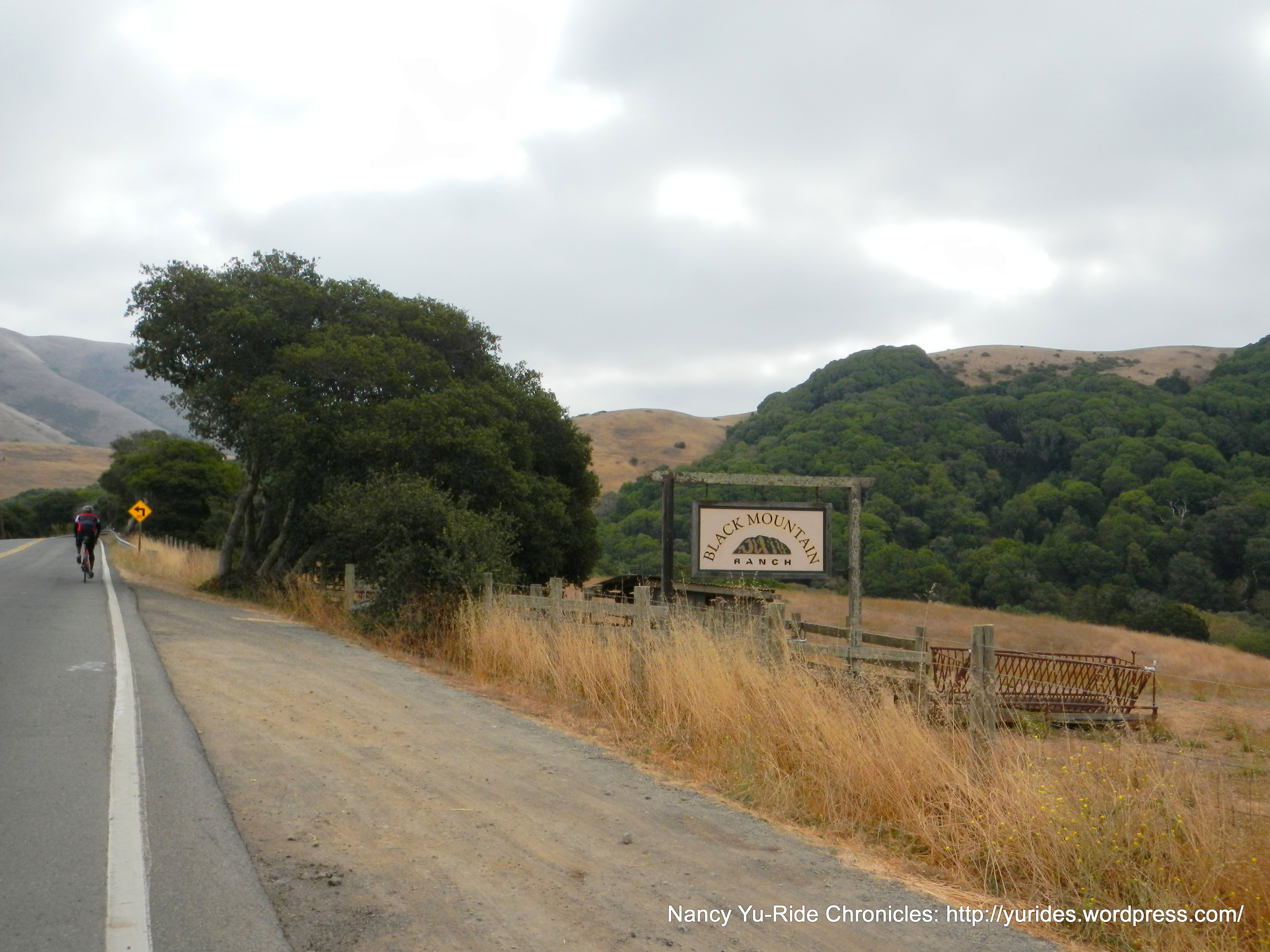 pt reyes petaluma rd