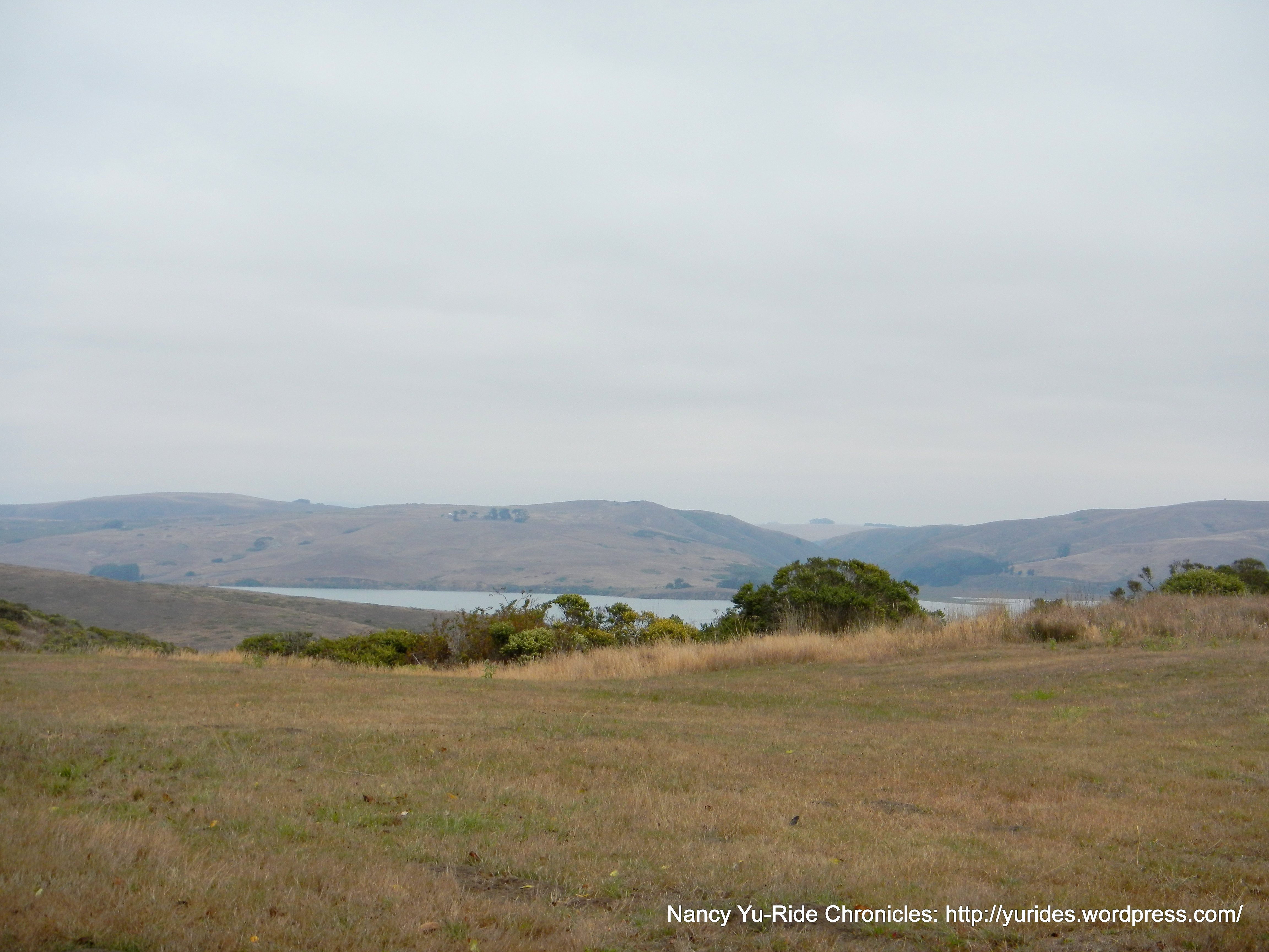 tomales bay