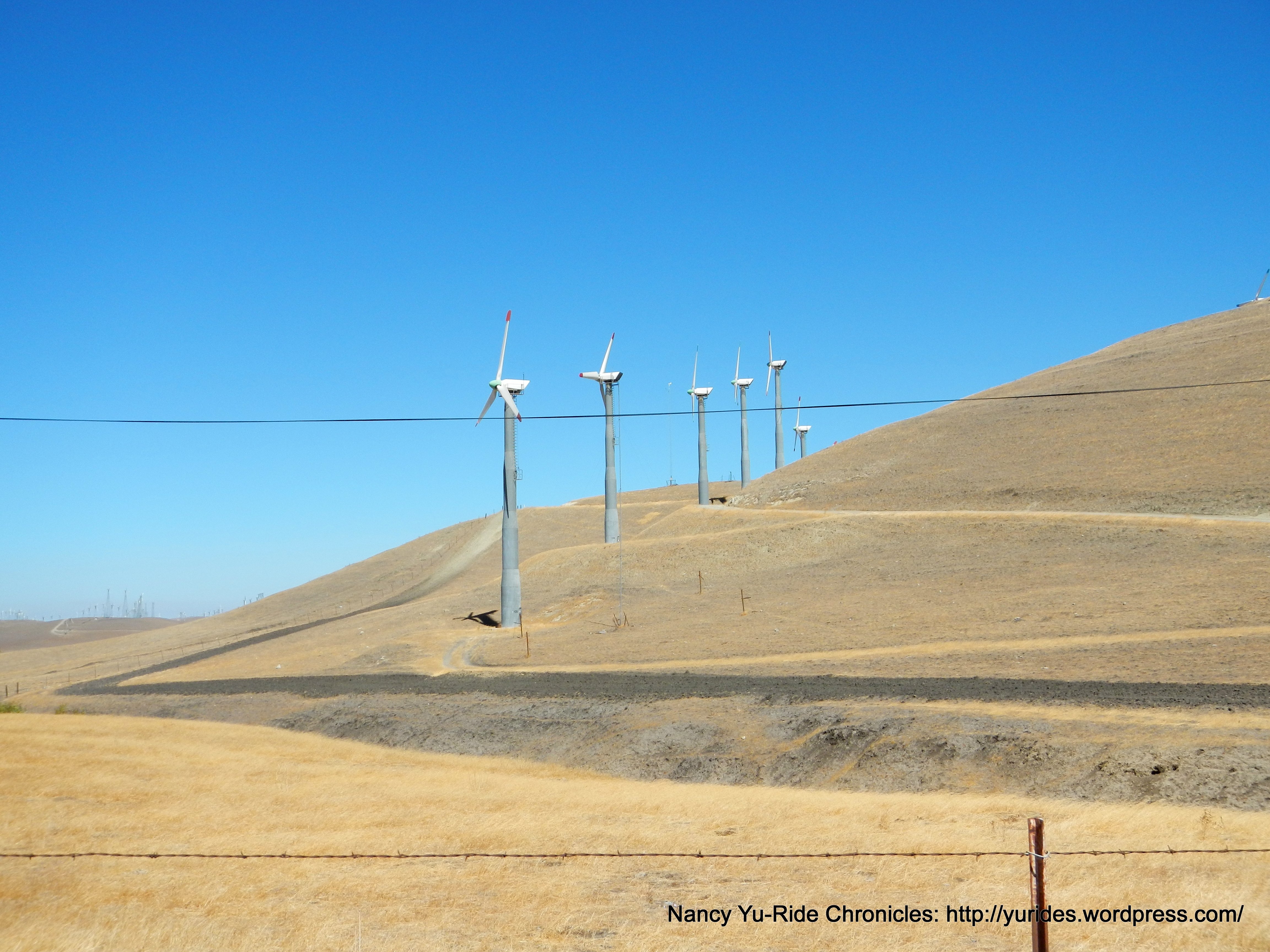 patterson pass windfarm
