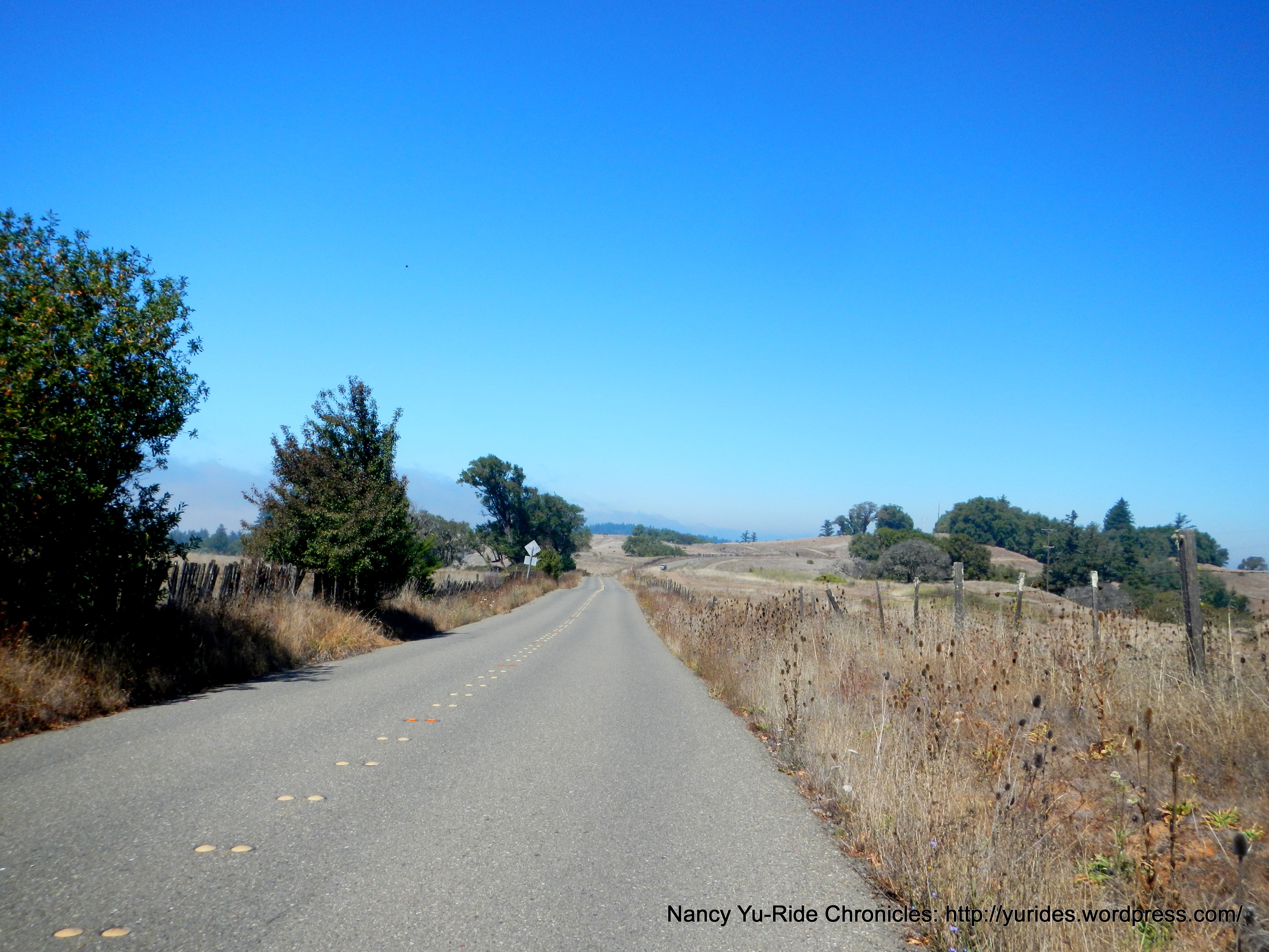 fort ross rd