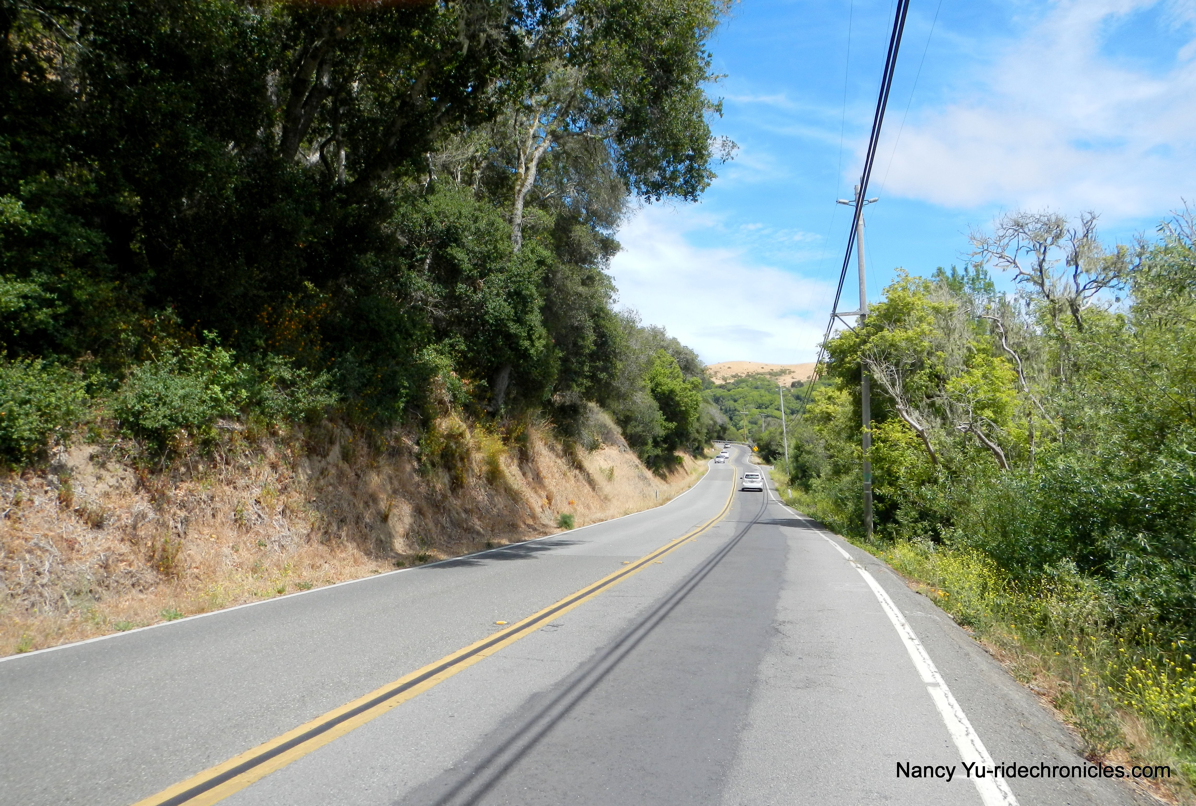 pt reyes petaluma rd