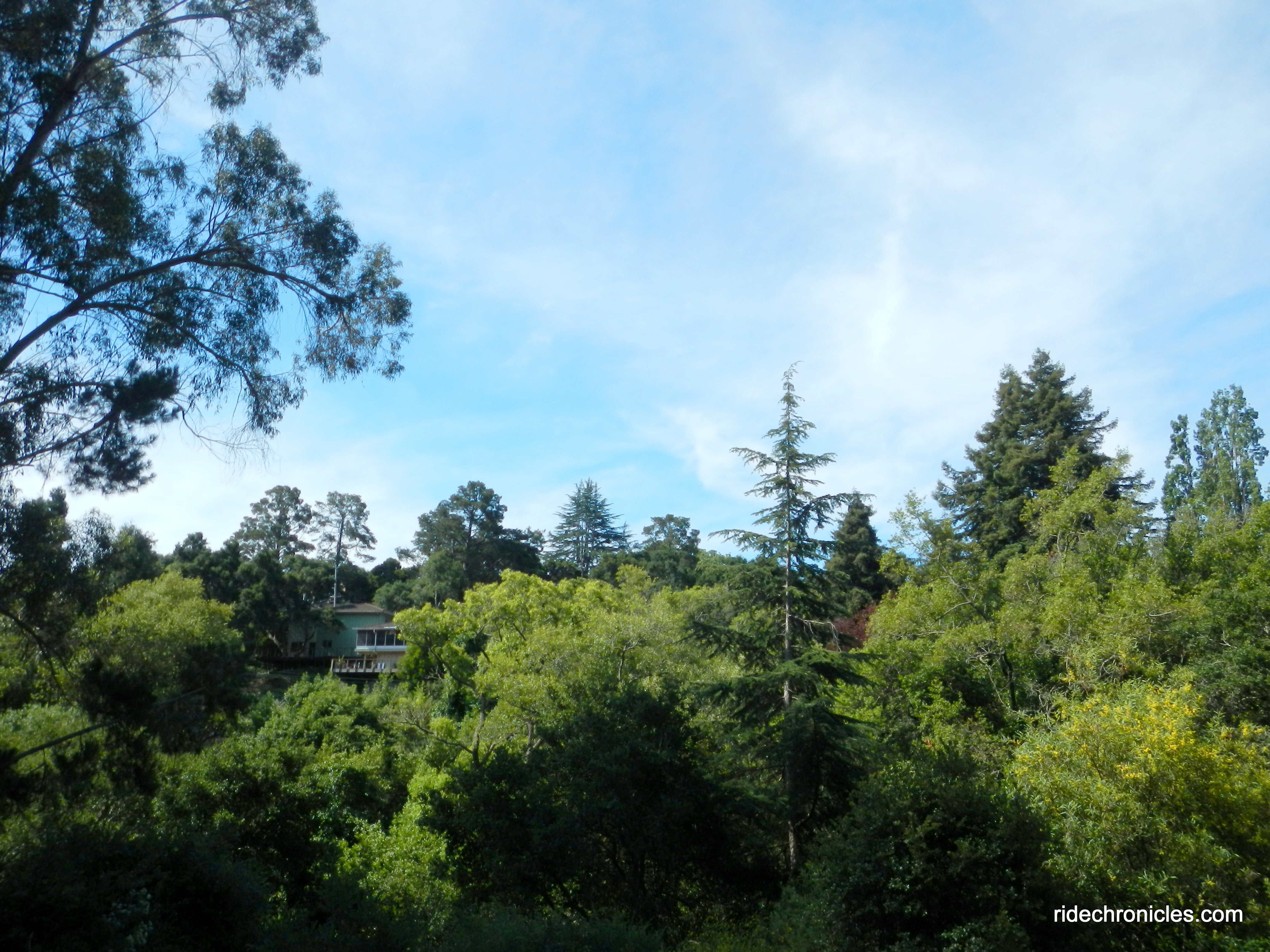 alvarado staging area
