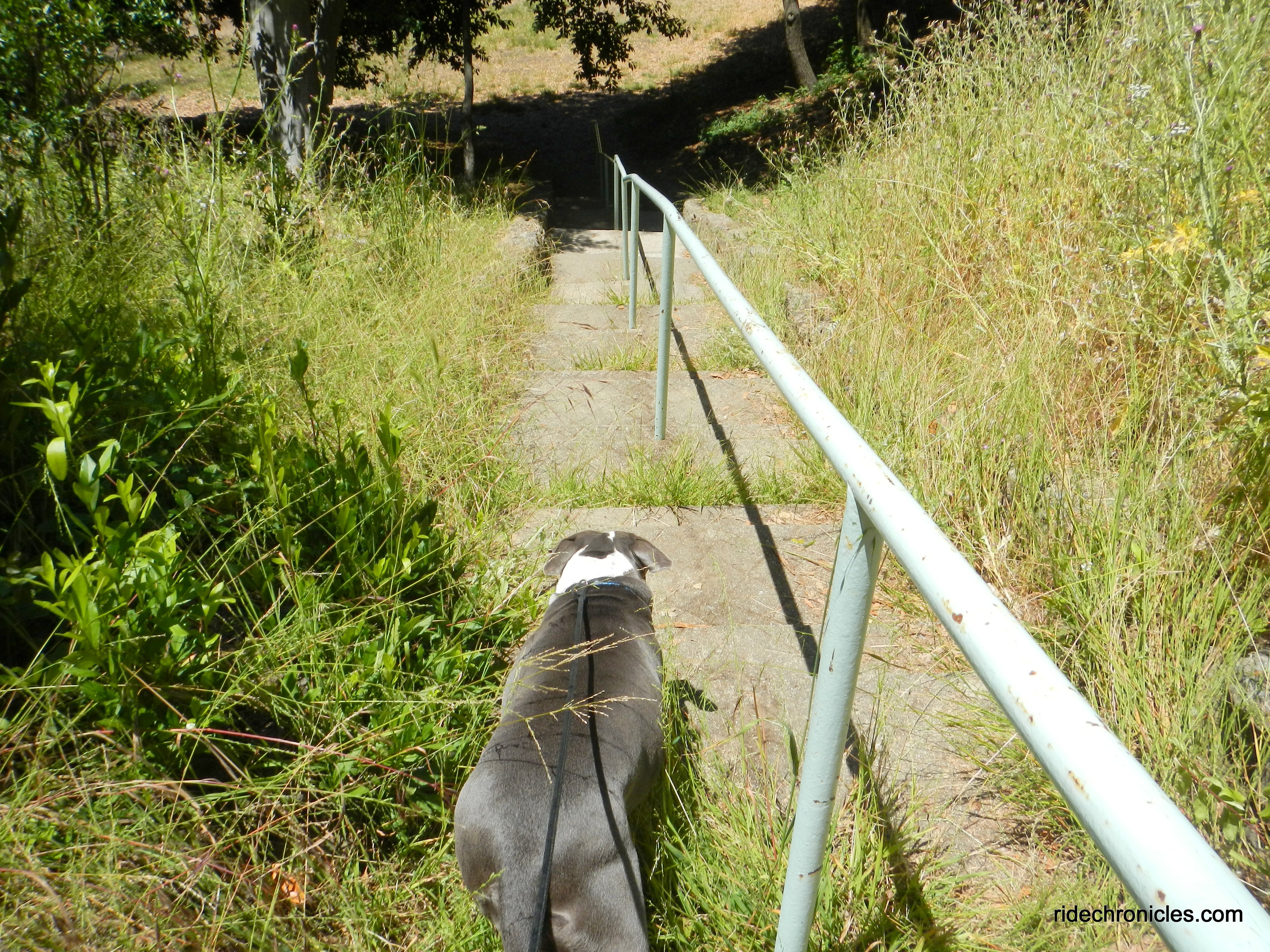 steps to picnic area