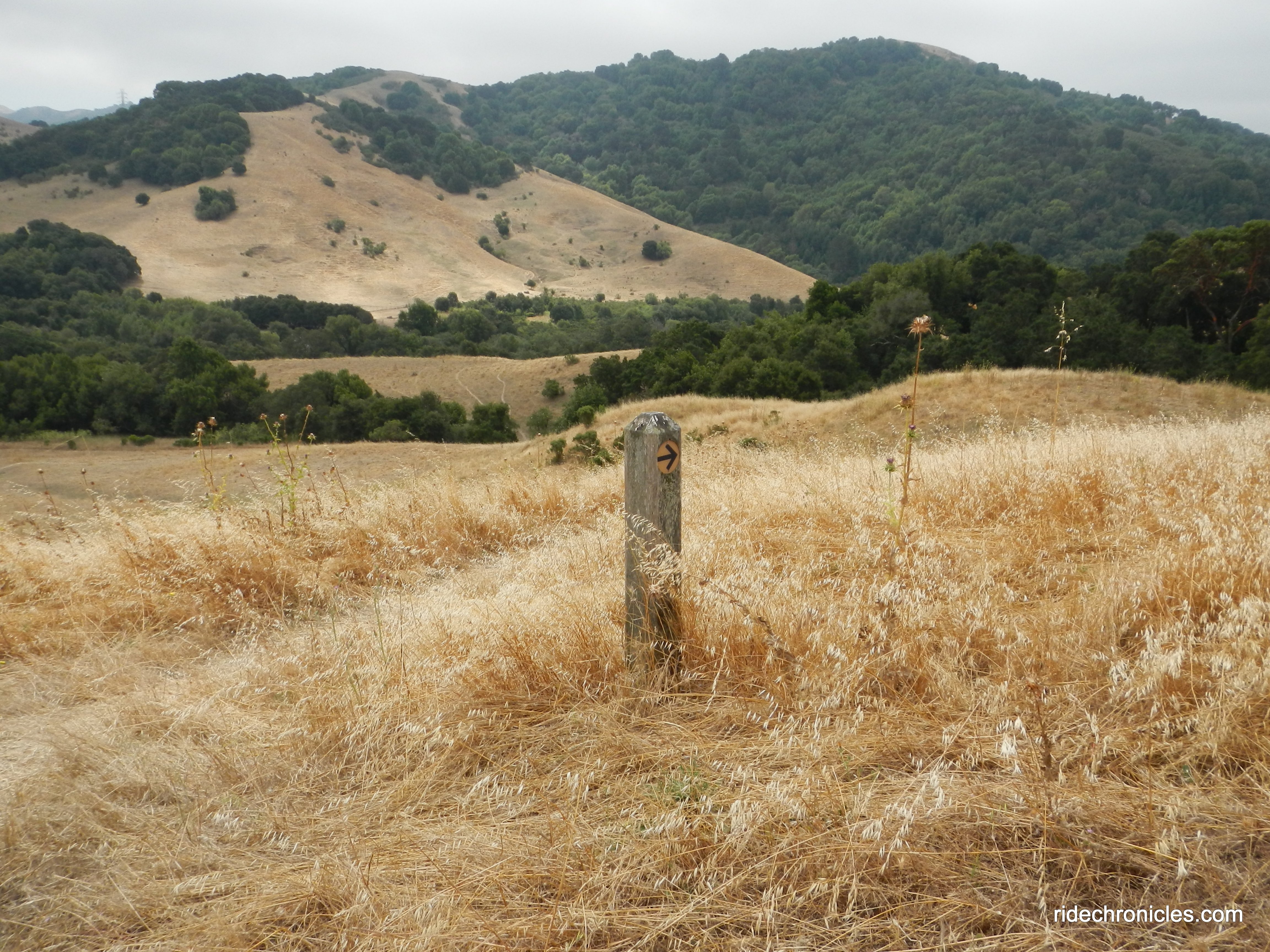 to king's canyon loop trail