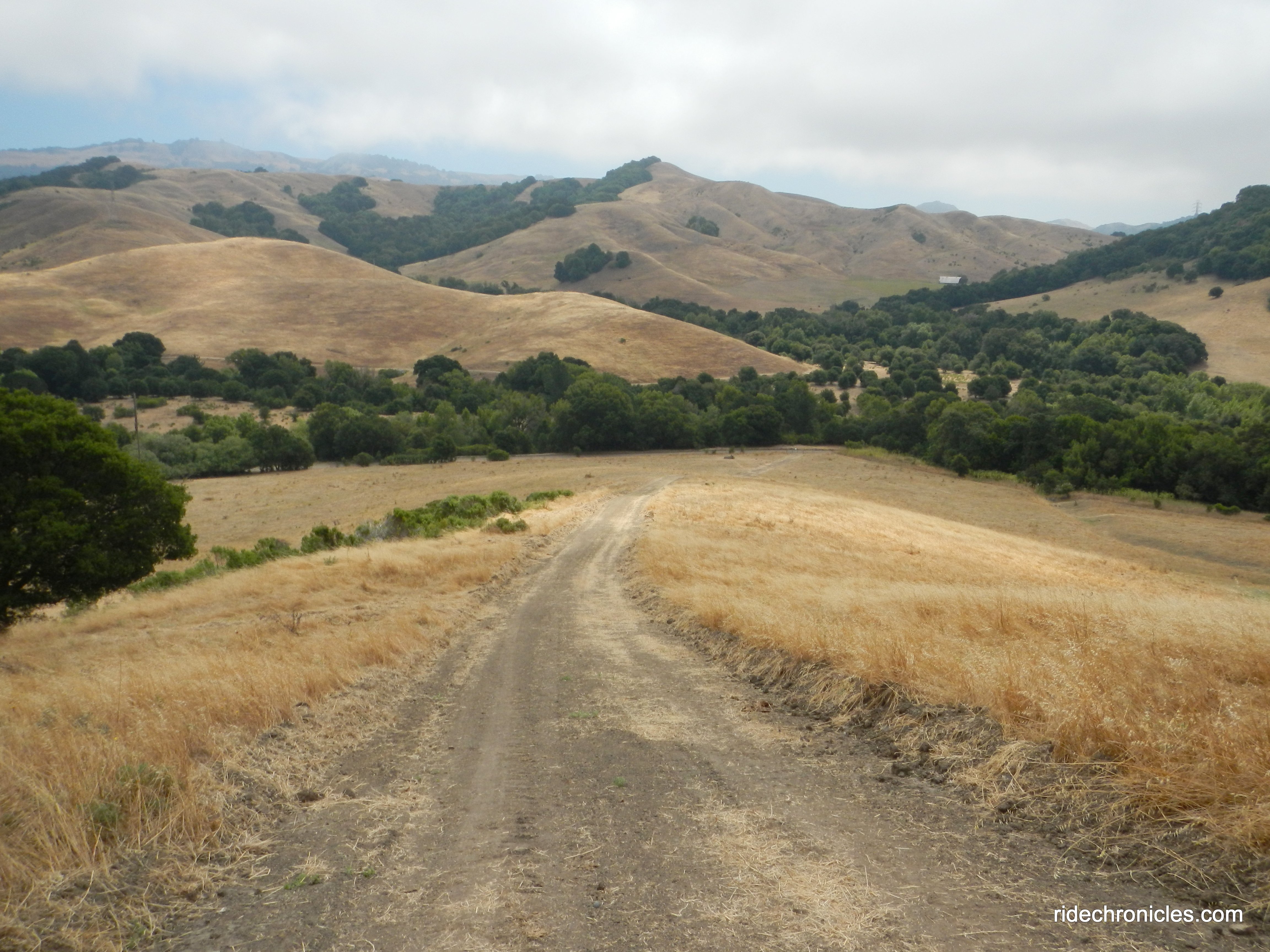 to king's canyon loop trail