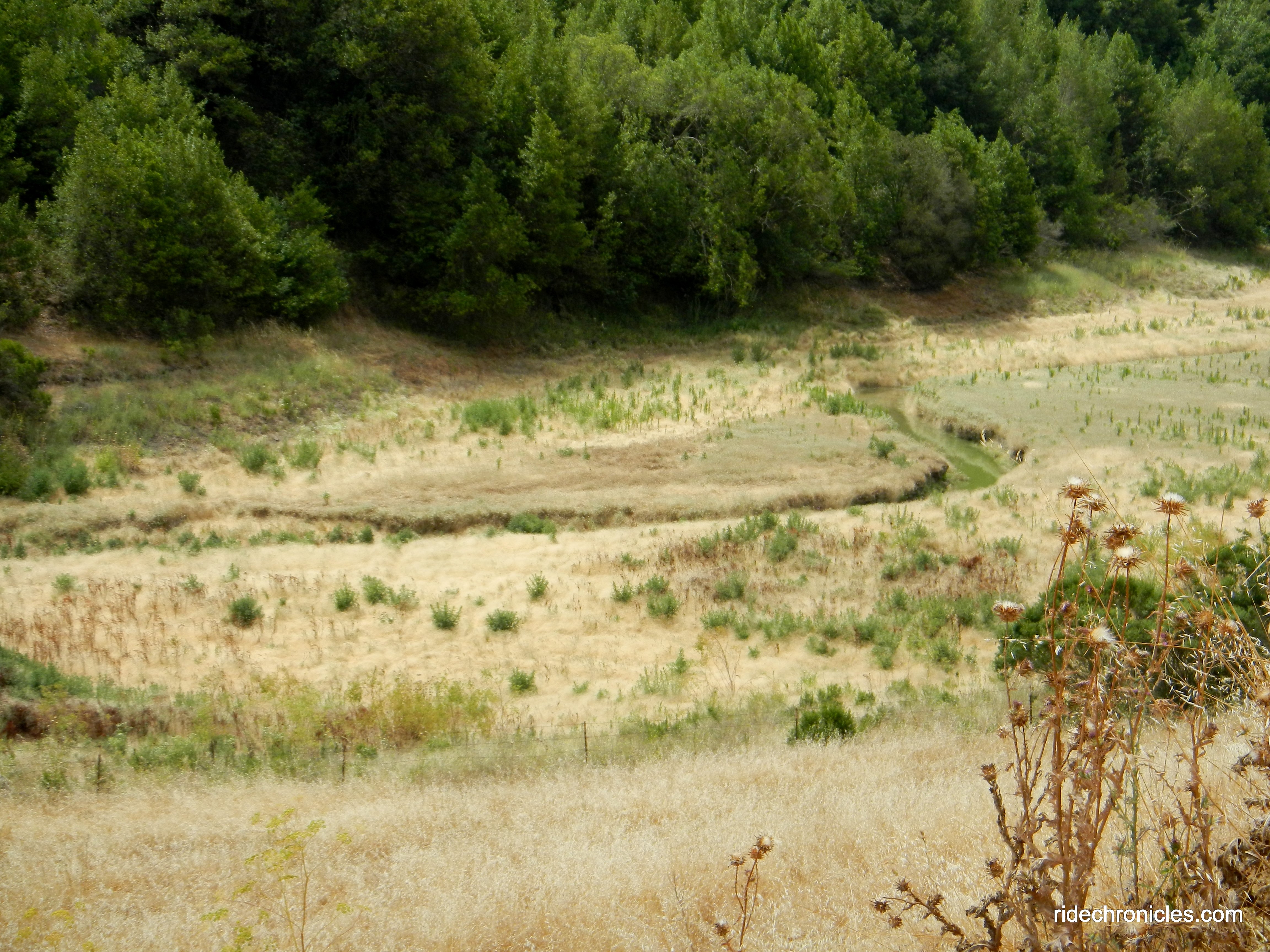 reservoir narrow arm