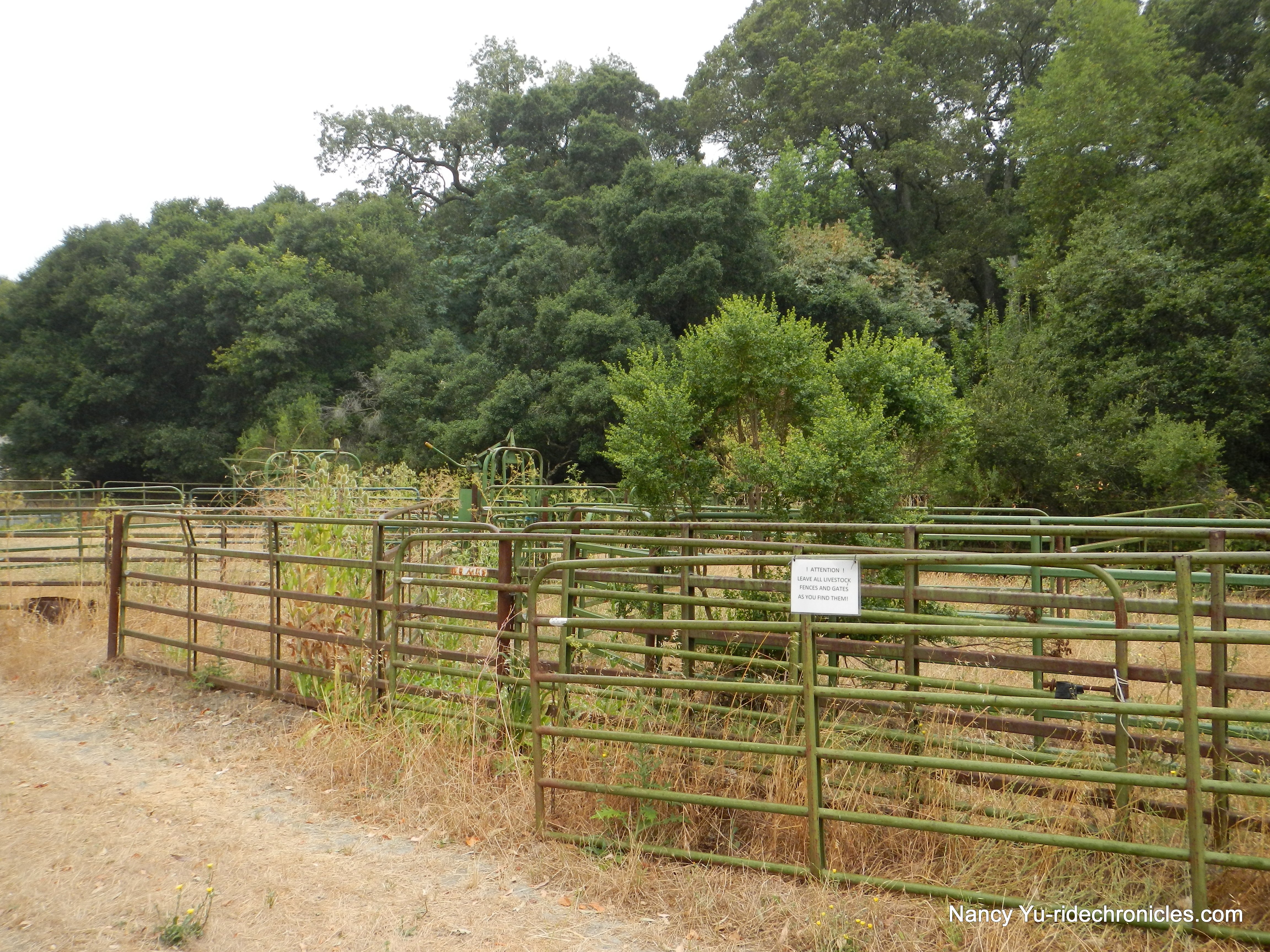 de laveaga trailhead