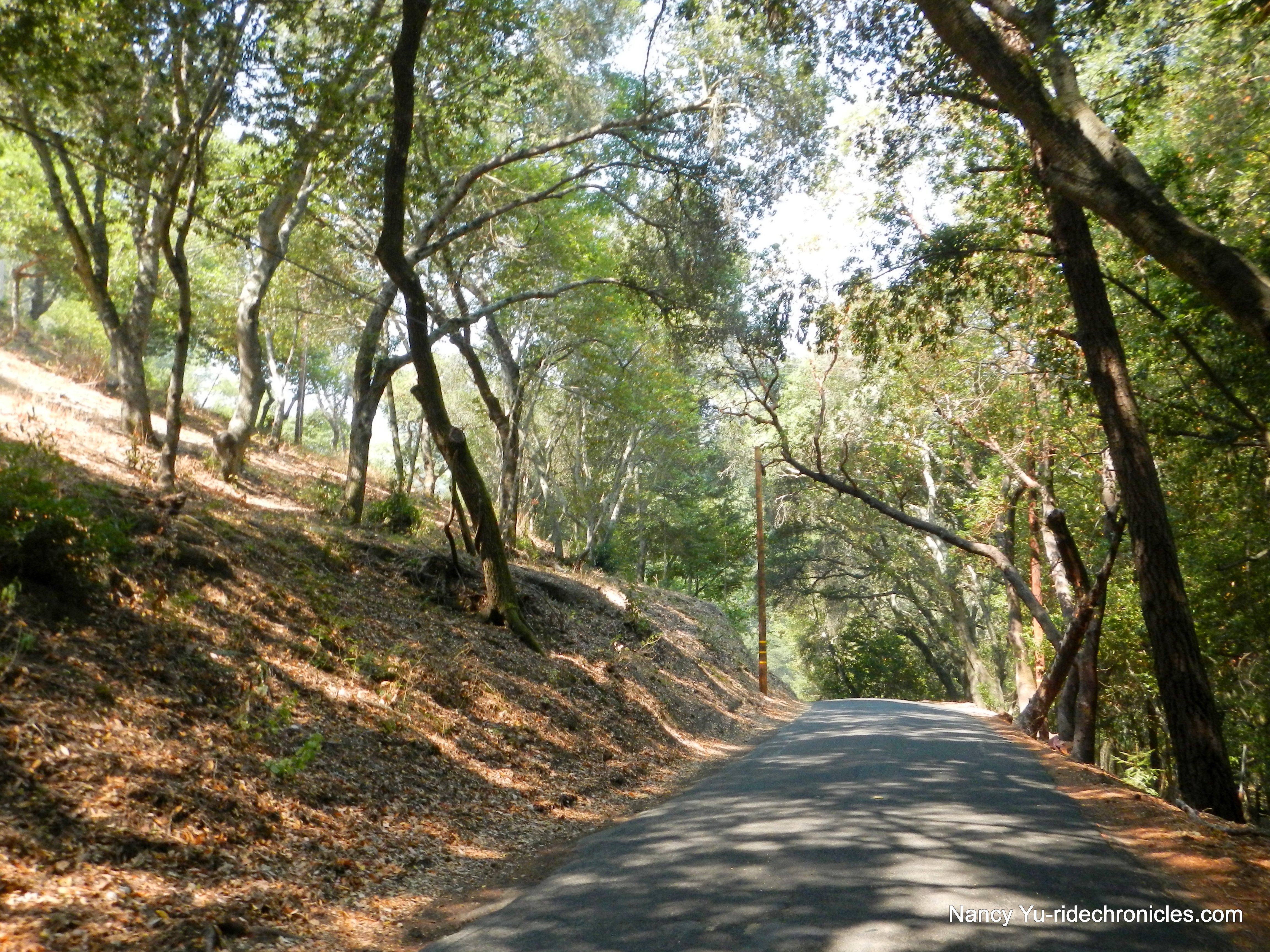 descend happy valley rd