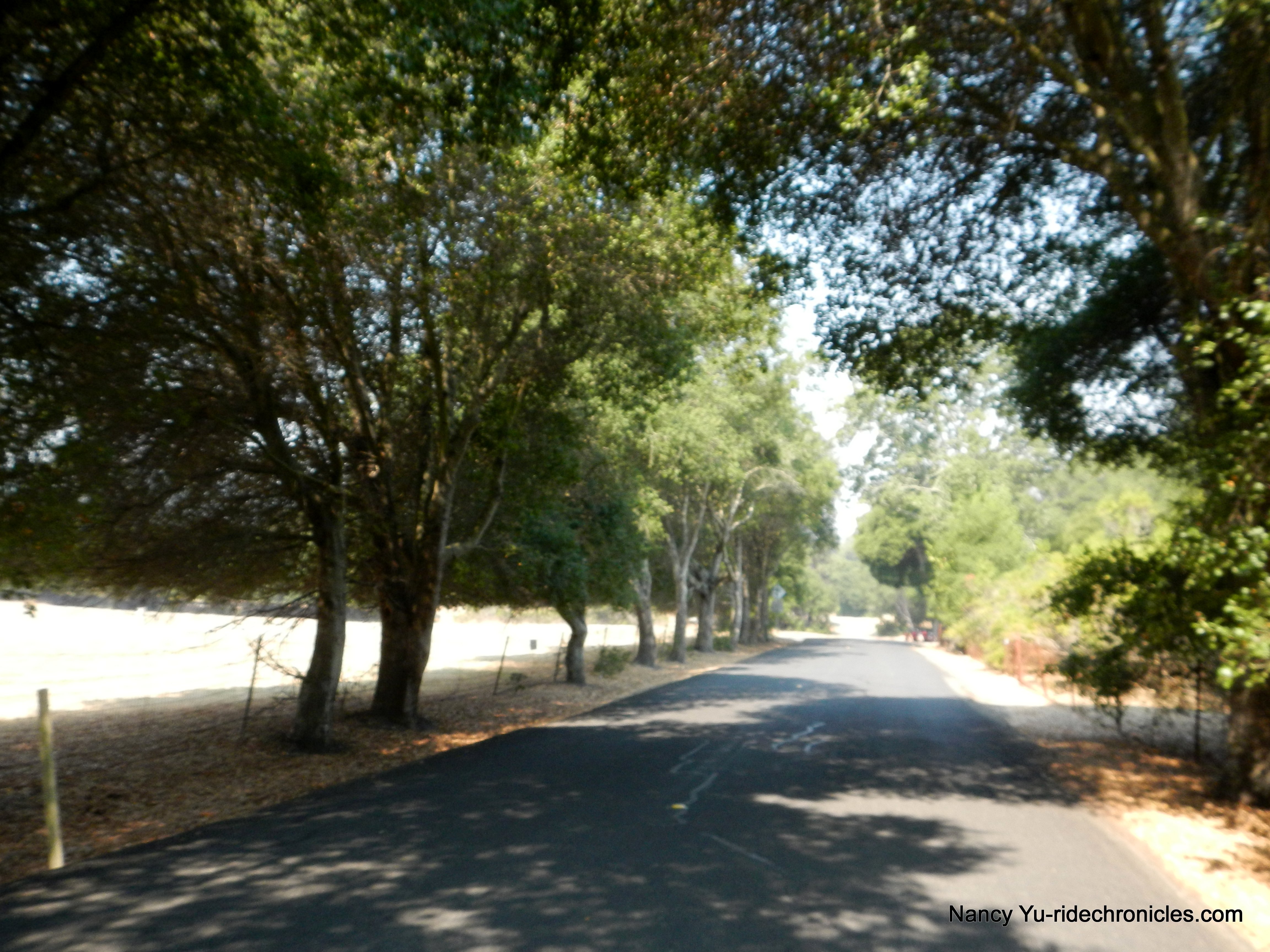 descend happy valley rd