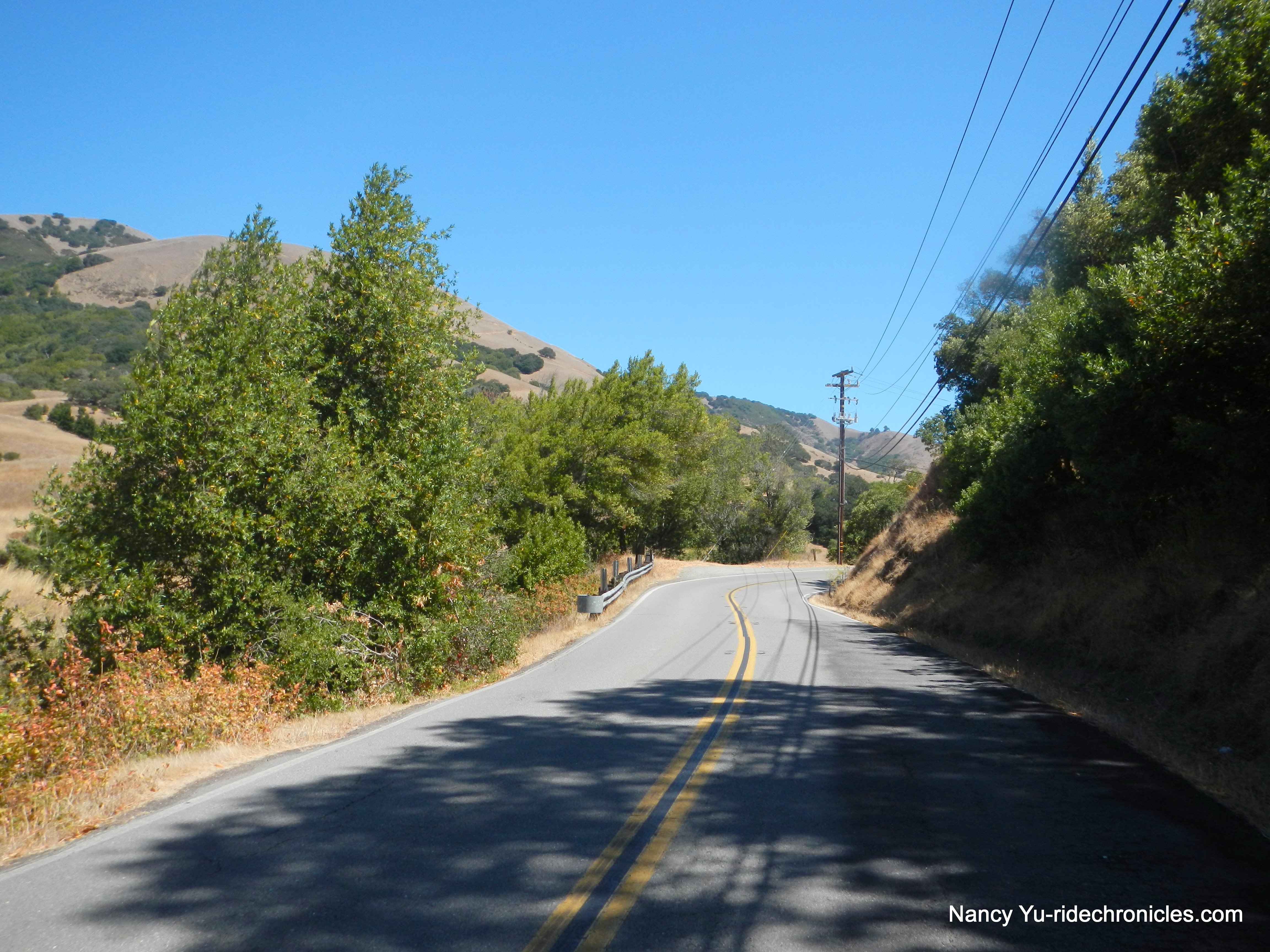 lucas valley rd