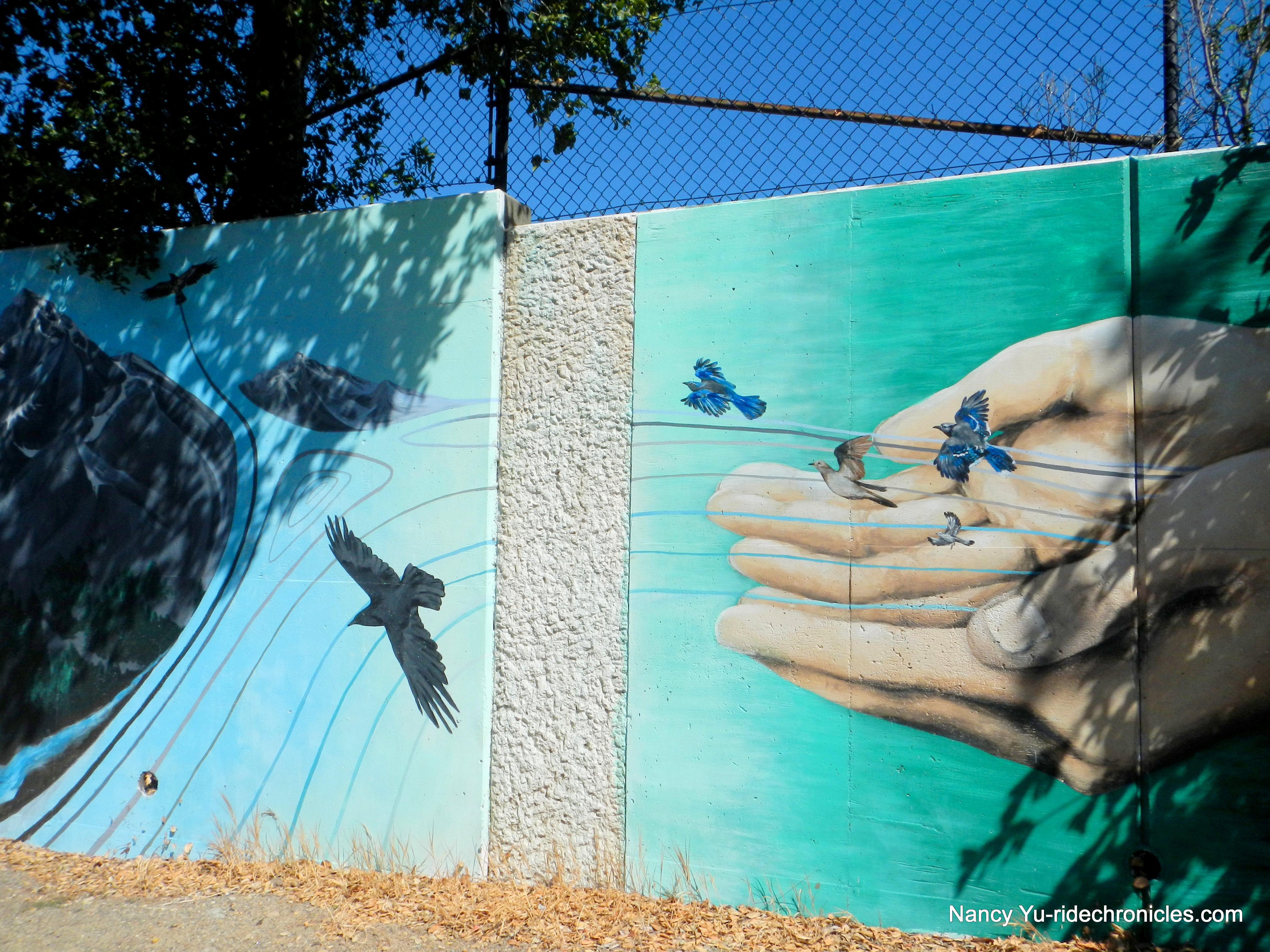 john muir murals