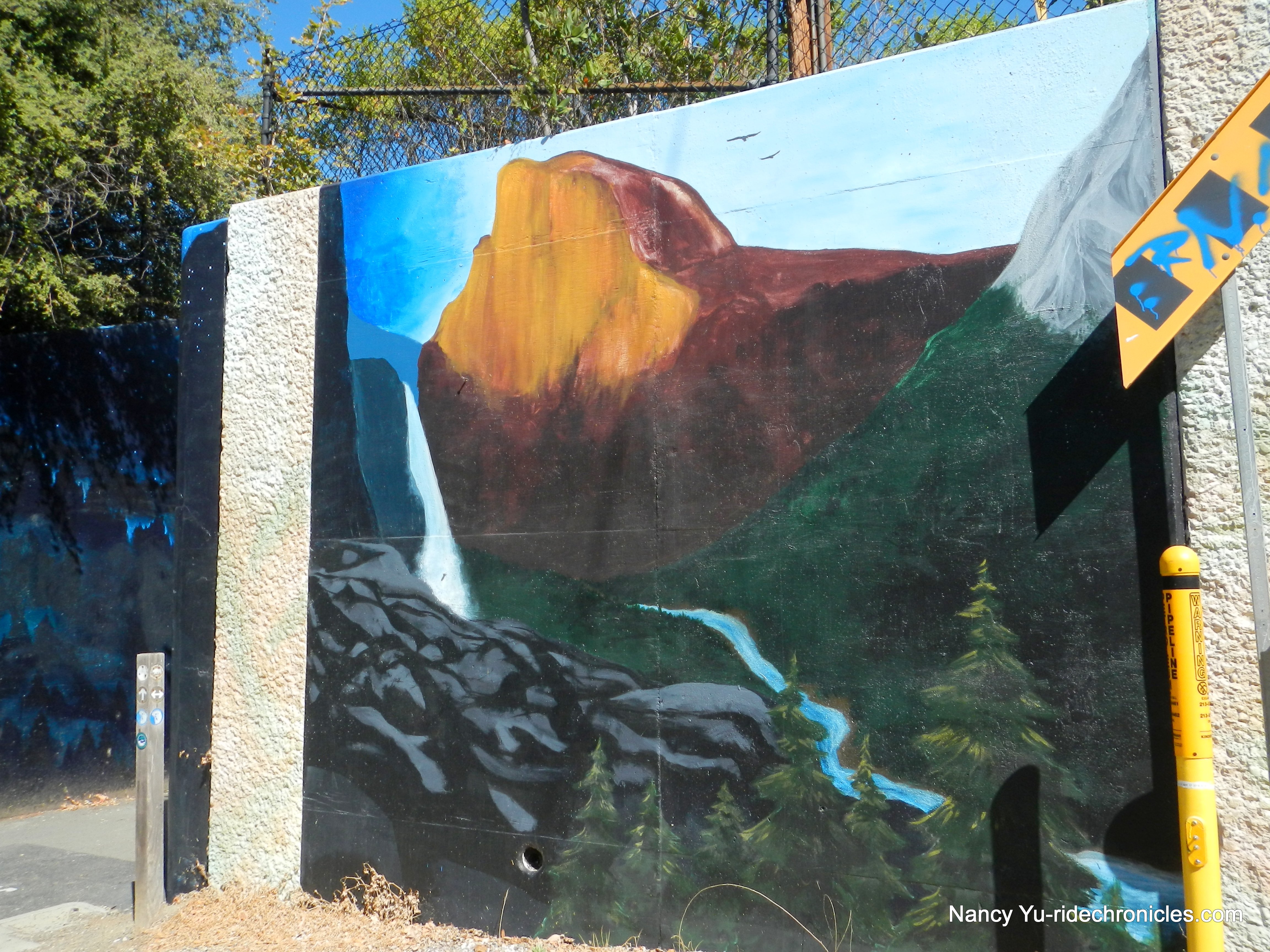 john muir murals