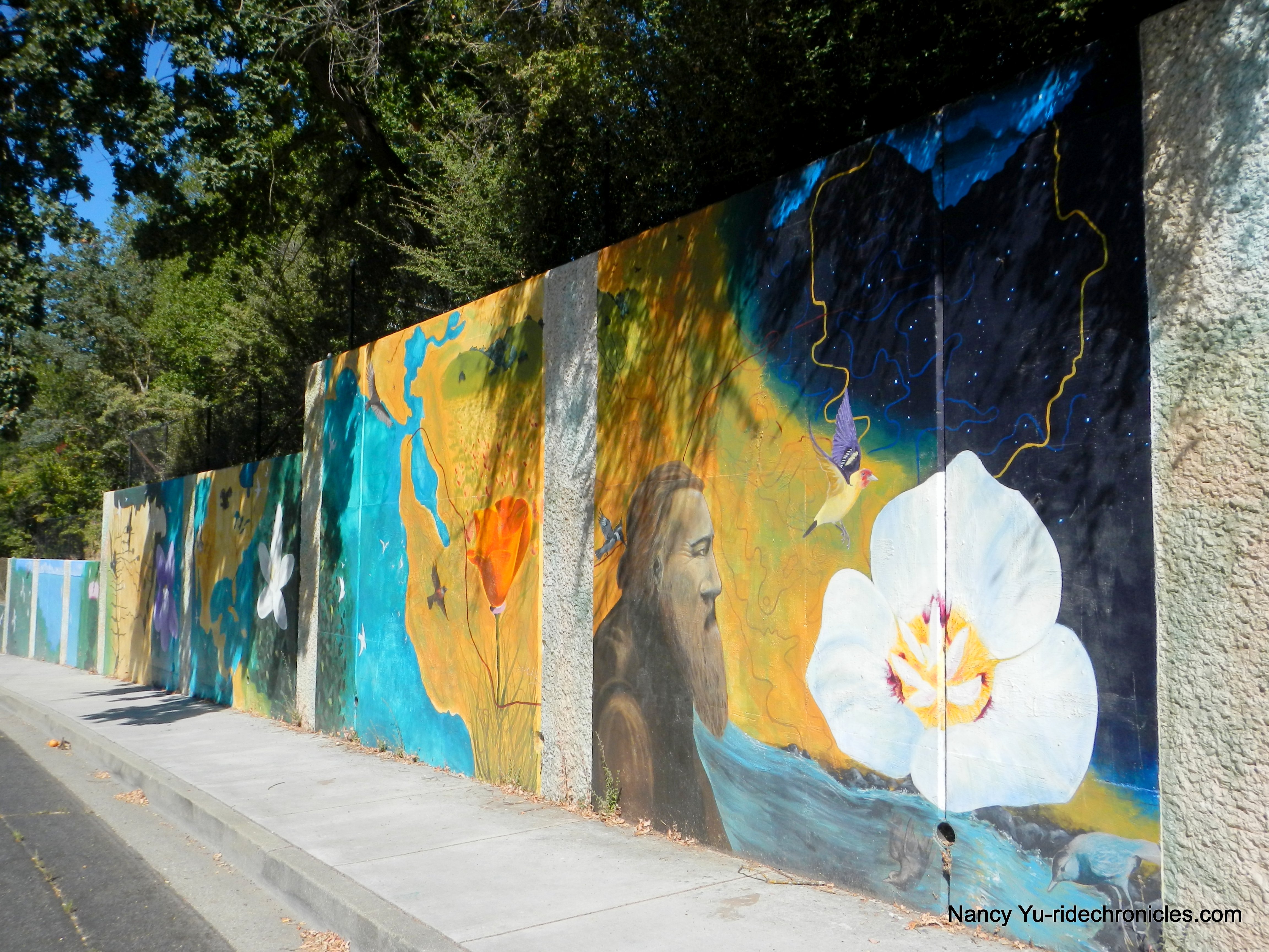 john muir murals