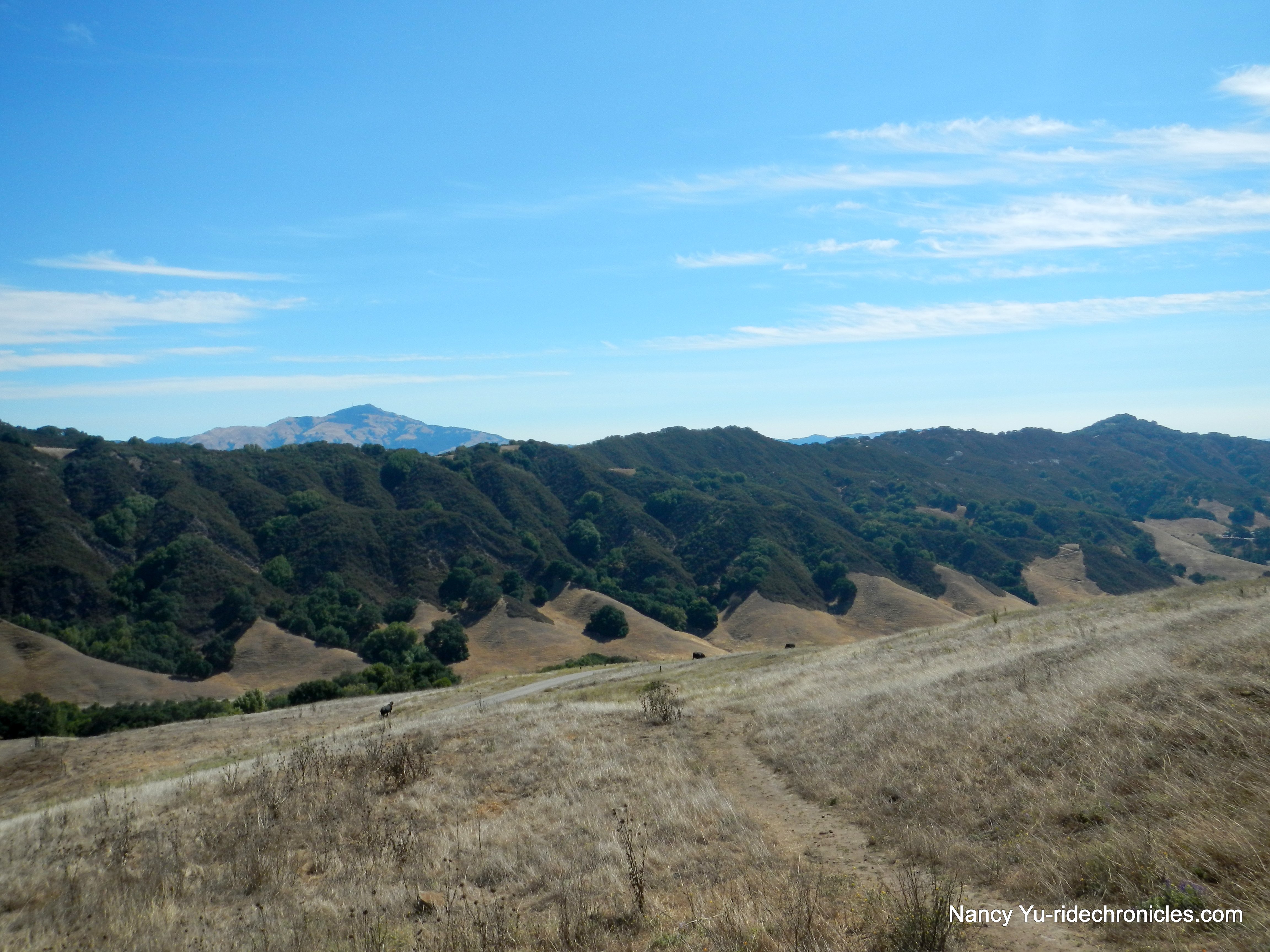 las trampas ridge