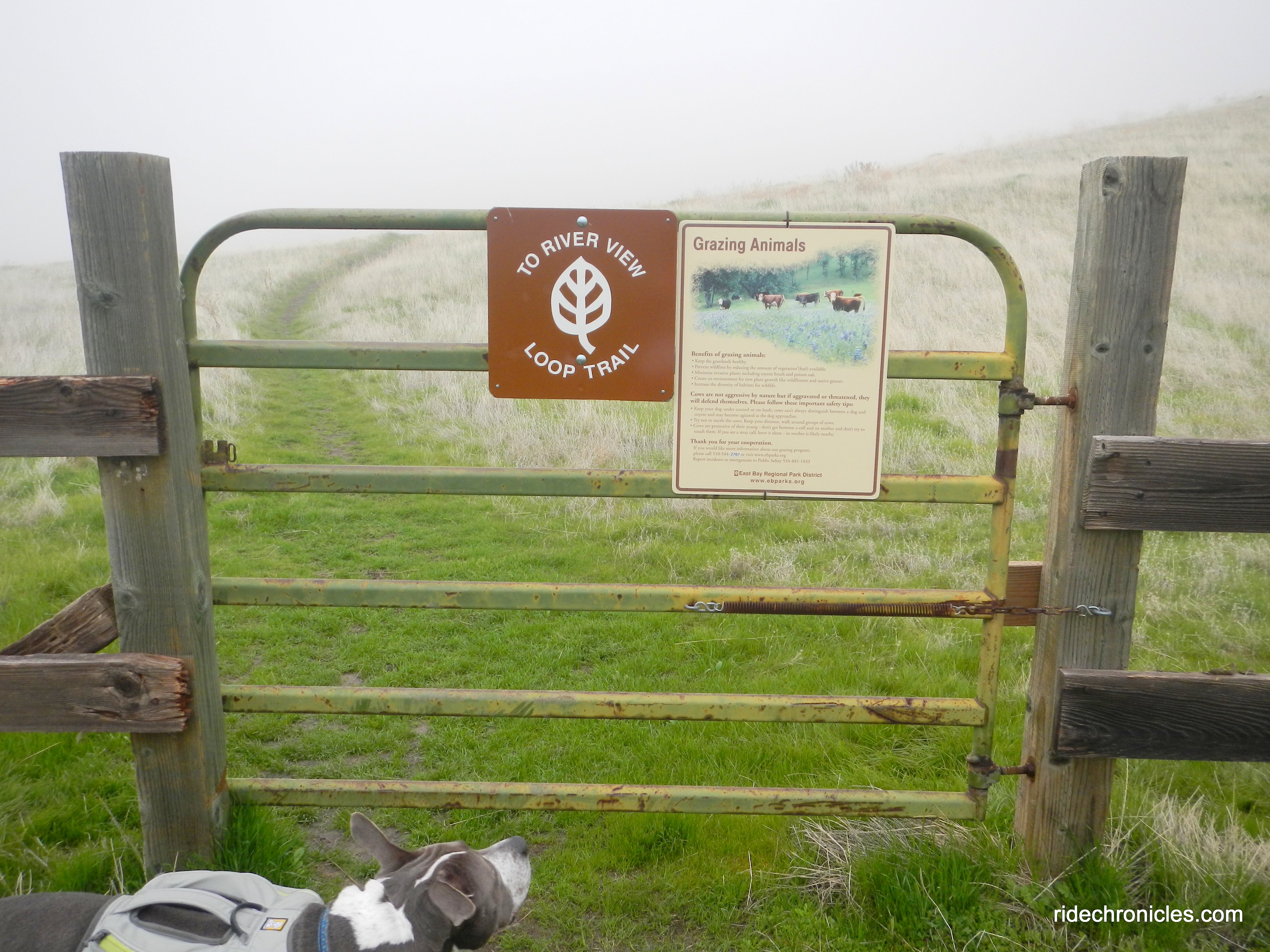 to river view loop trail