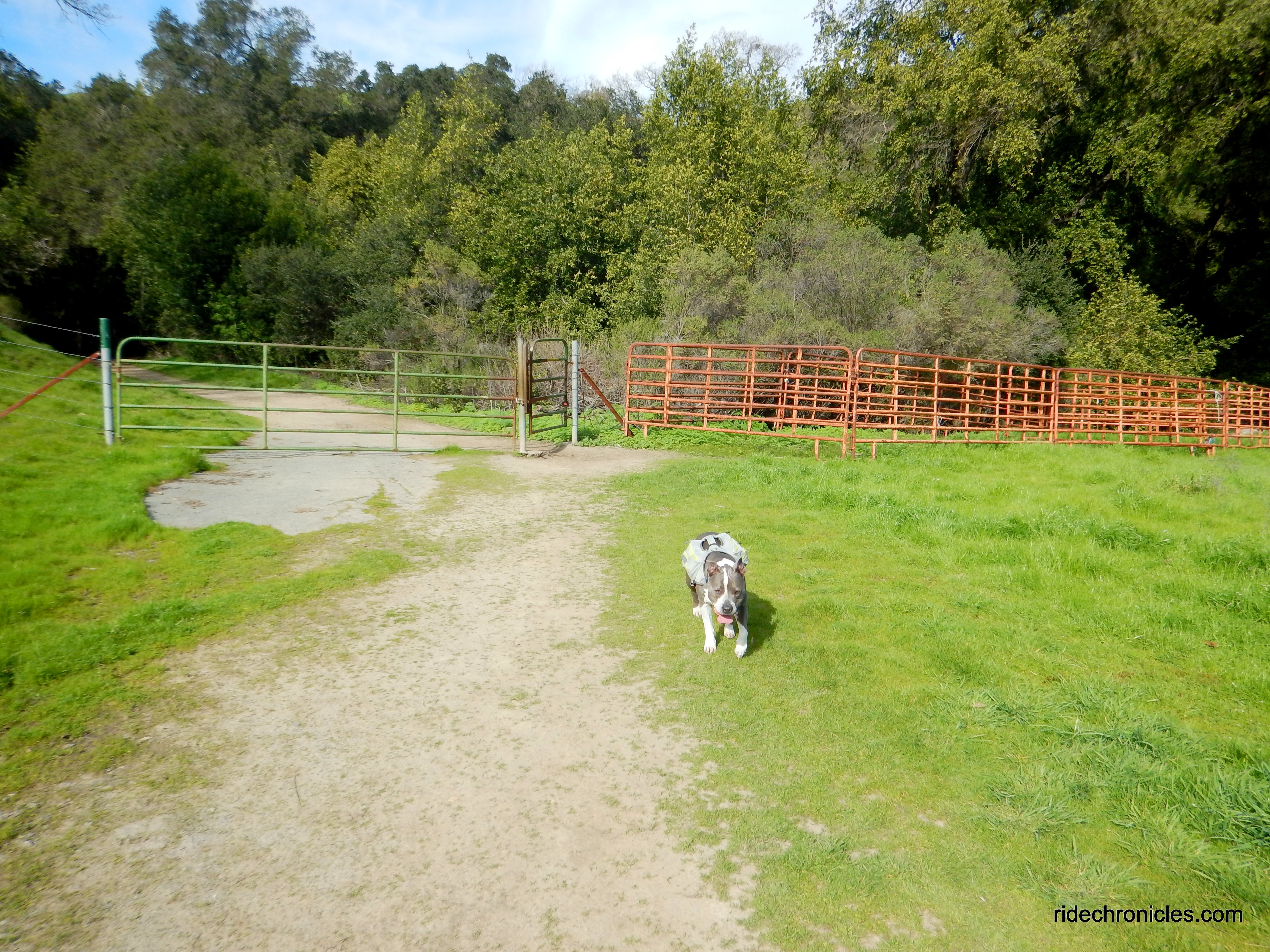 springhill staging area