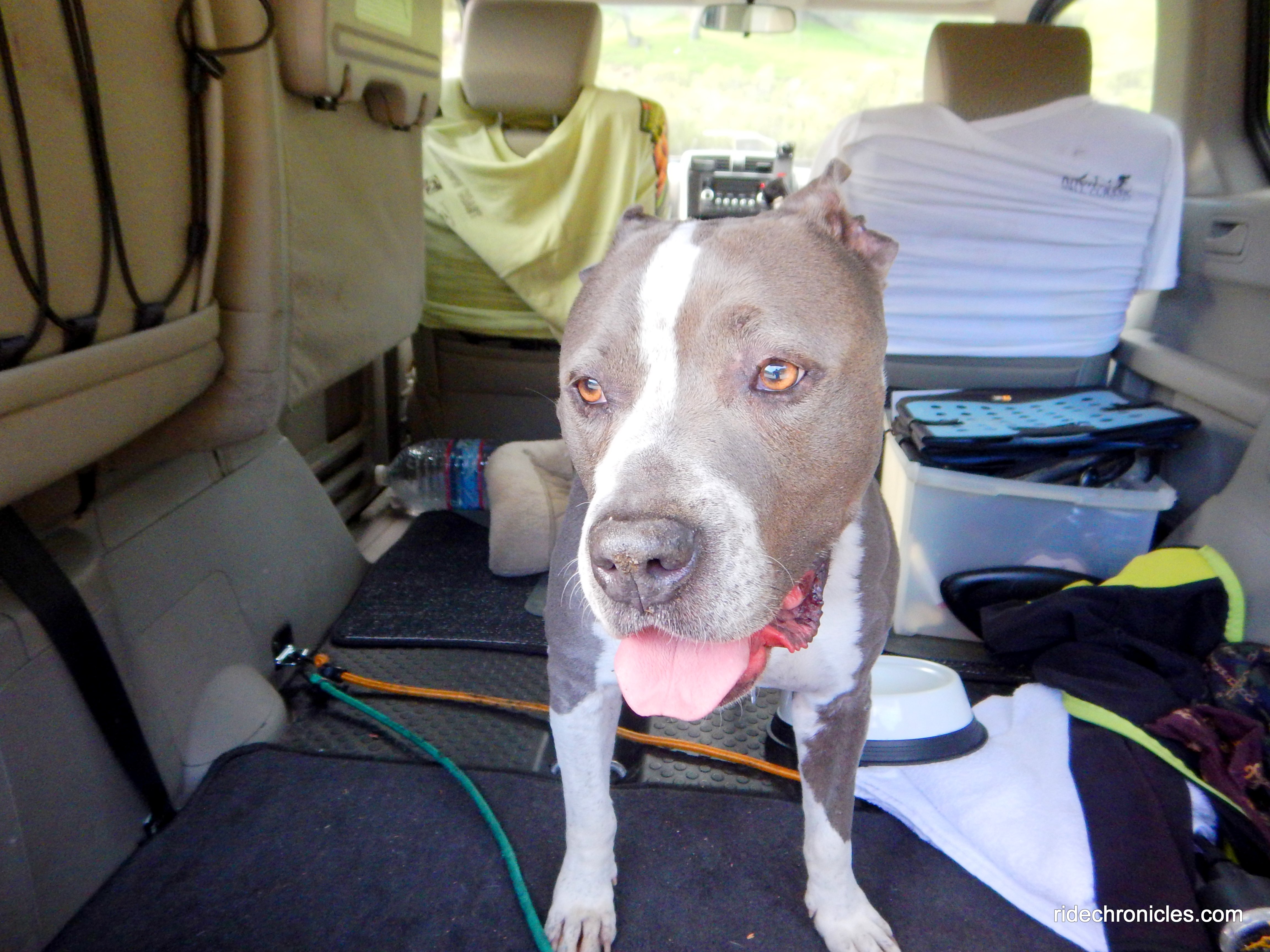 springhill staging area