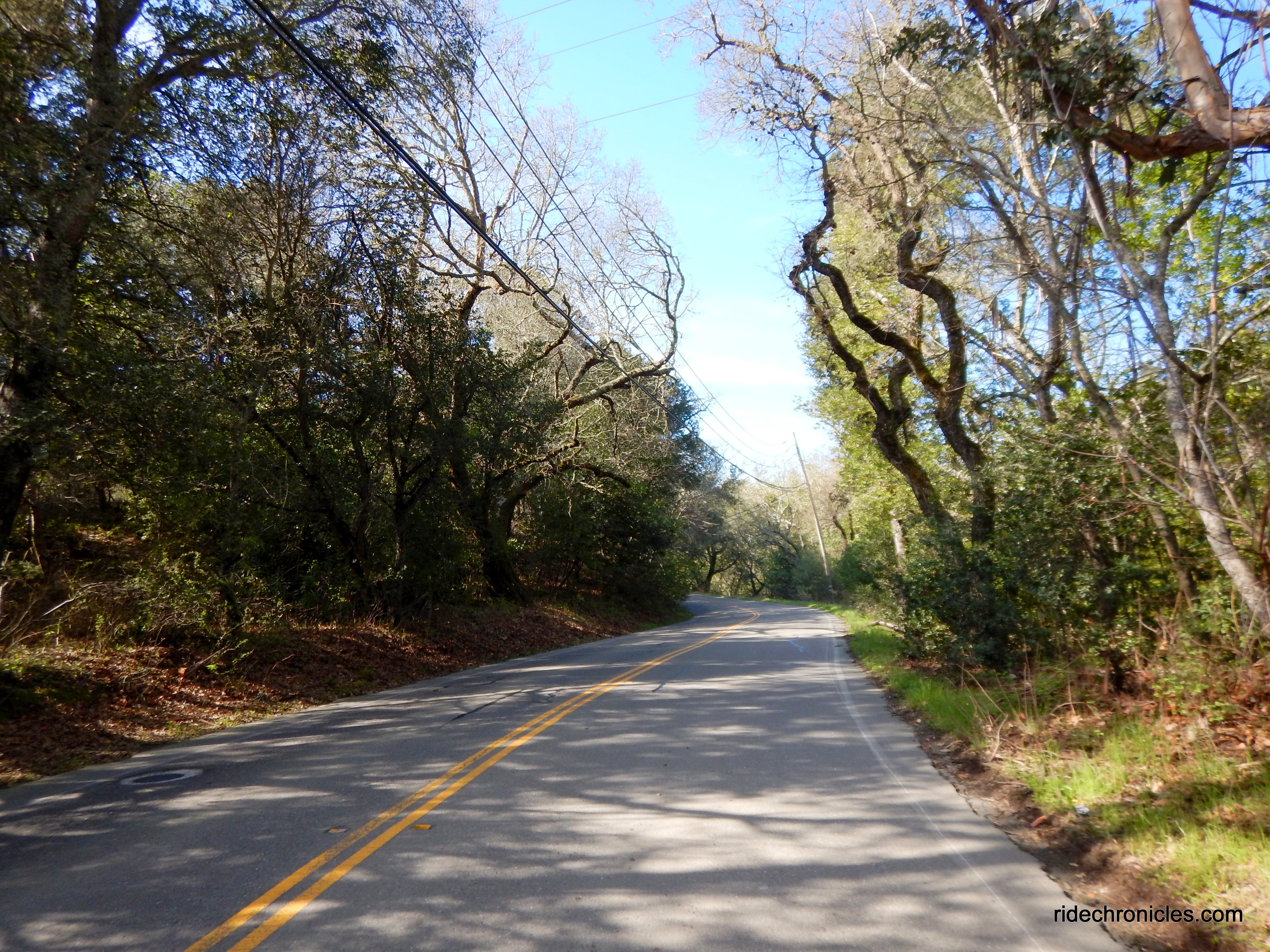 bear creek rdbear creek rd