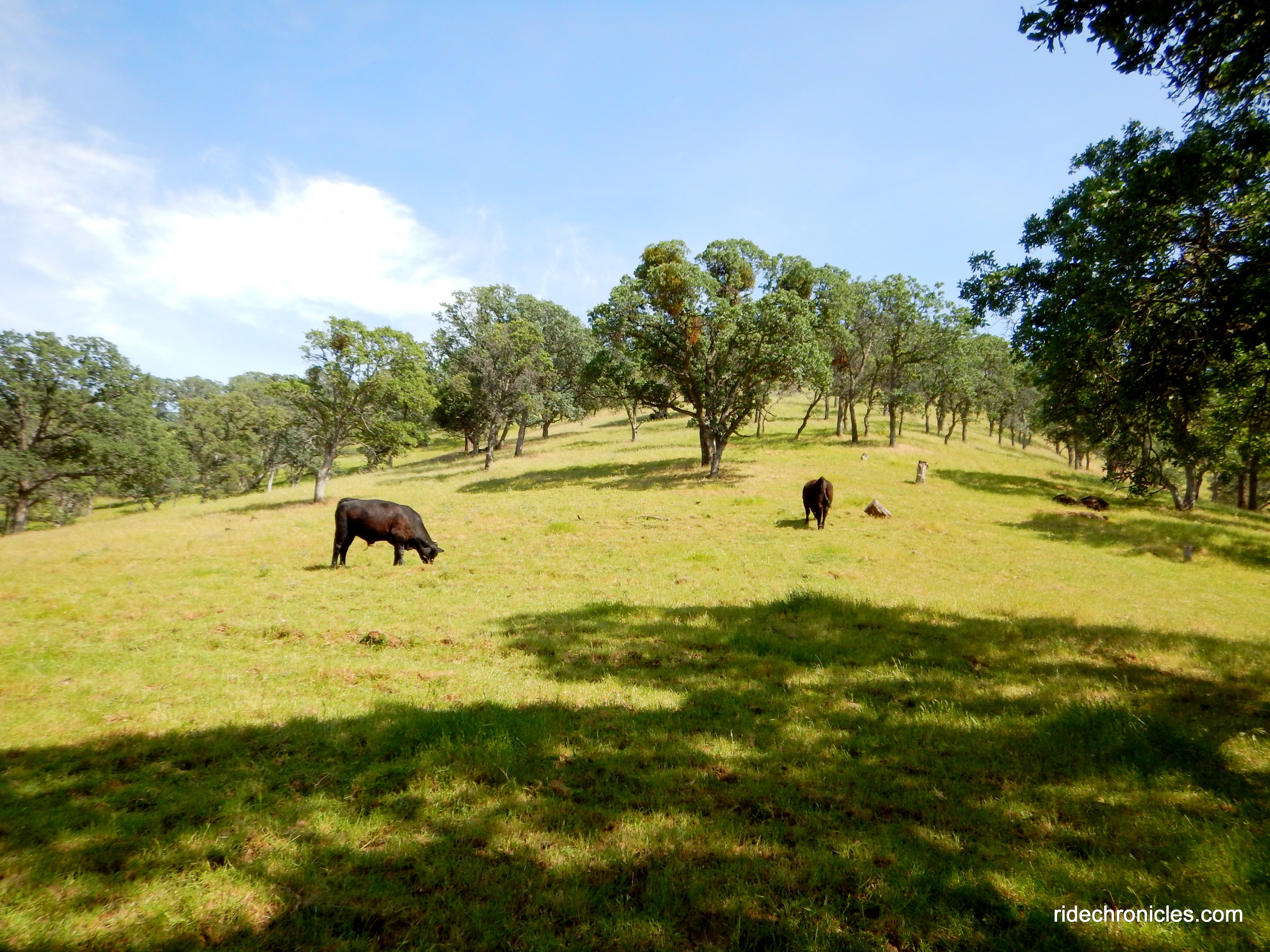 hardy canyon trail