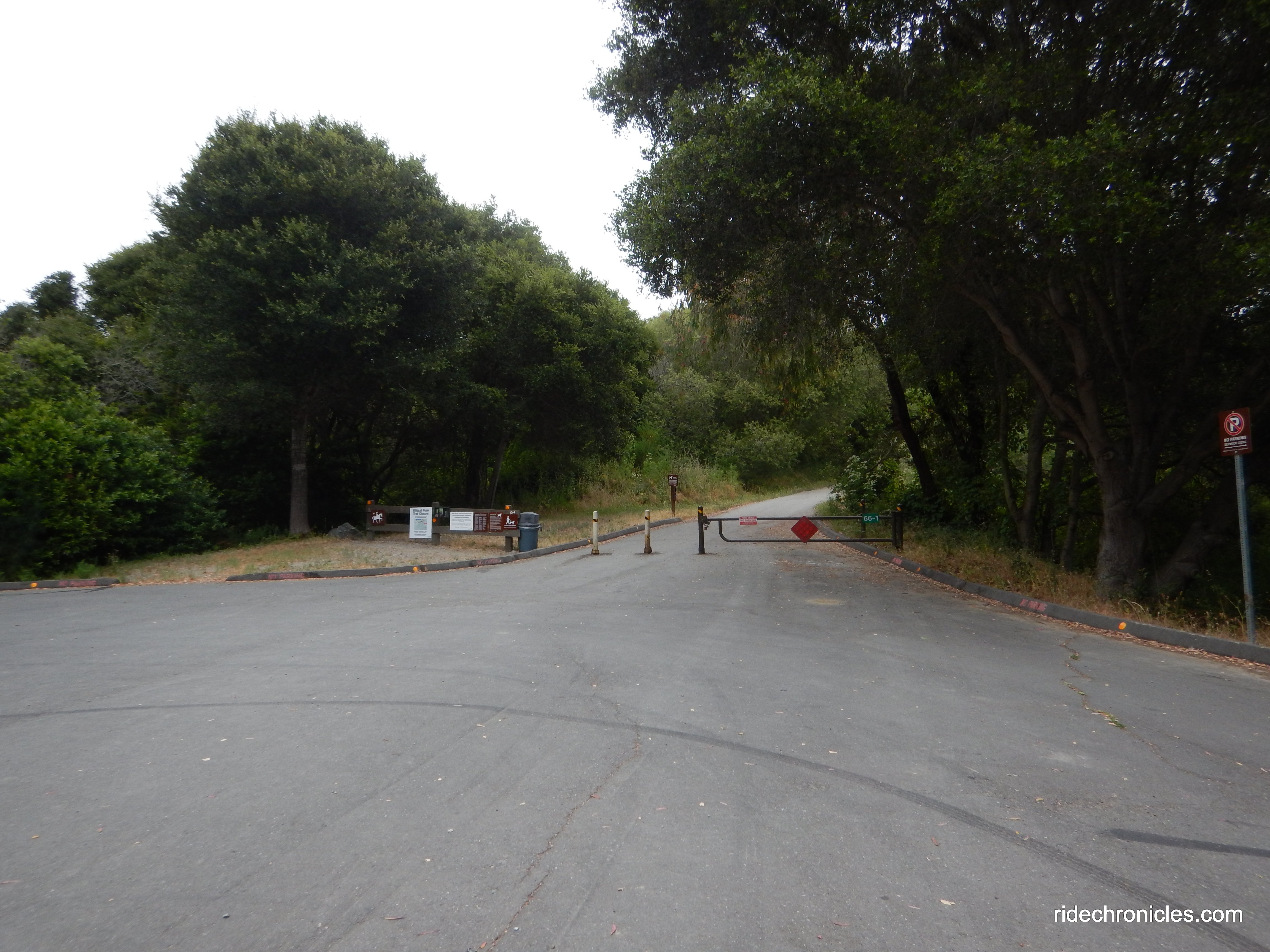 to wildcatcreek trail