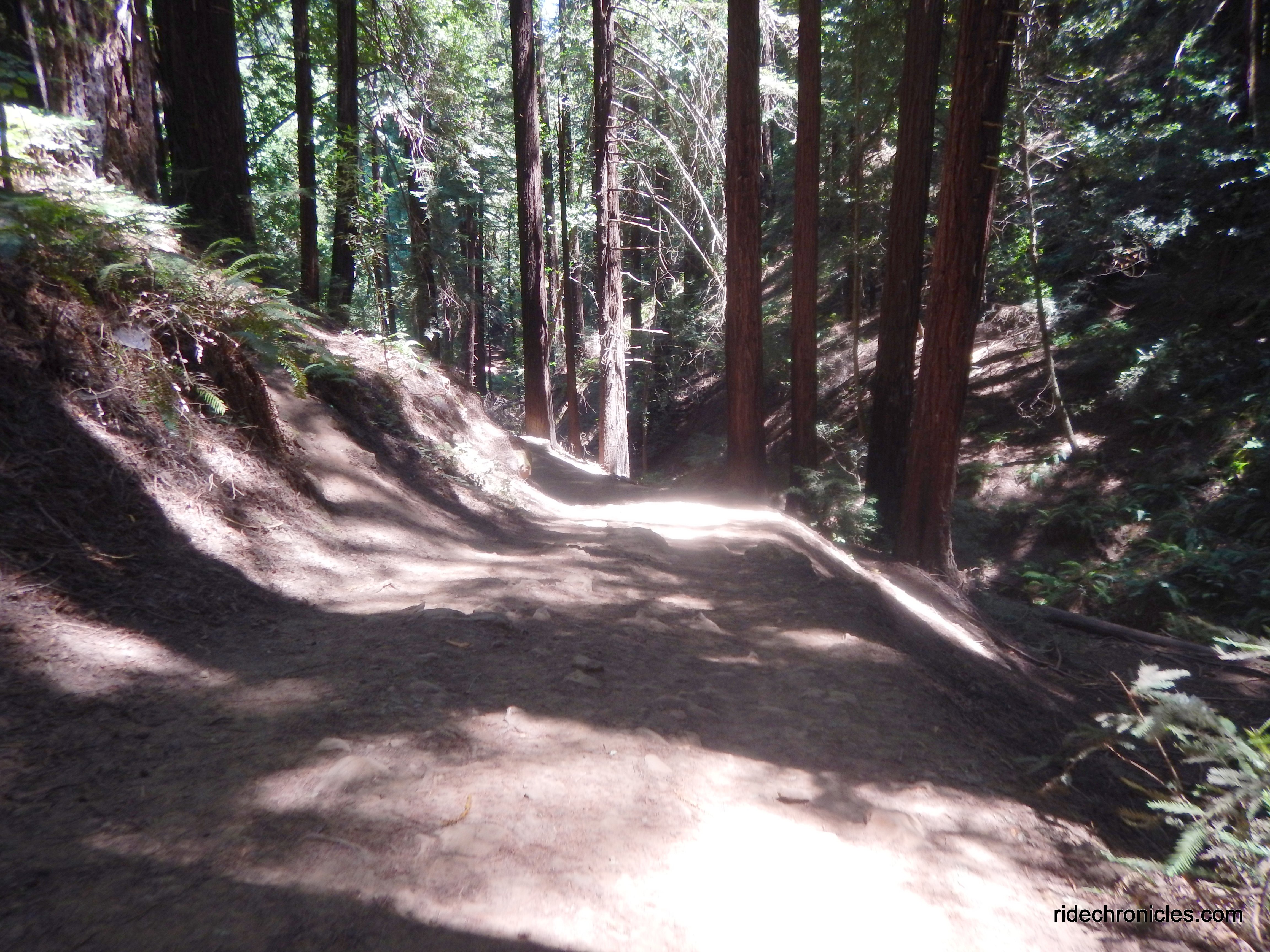 french trail/tres sendas