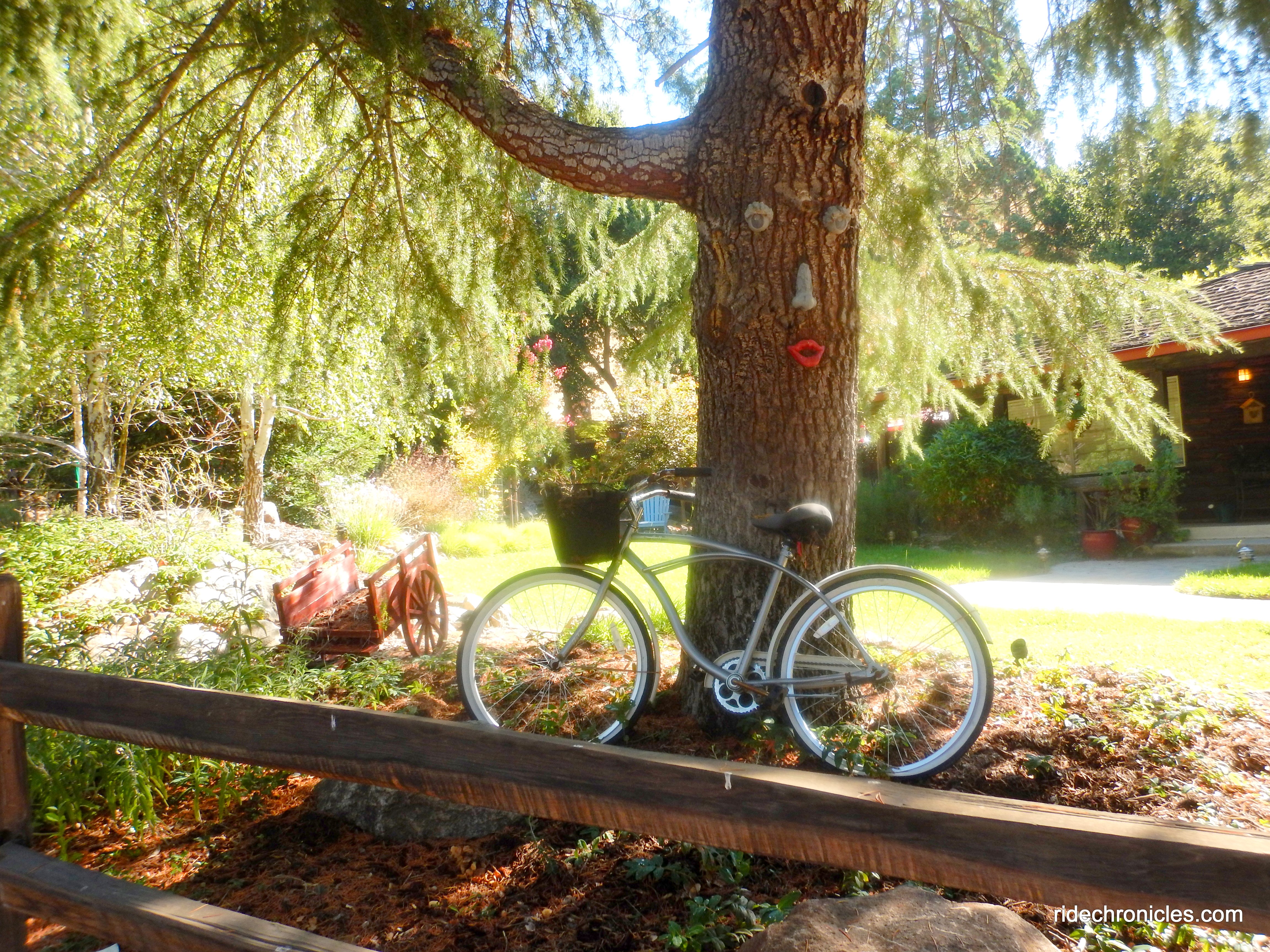 mt diablo scenic blvd
