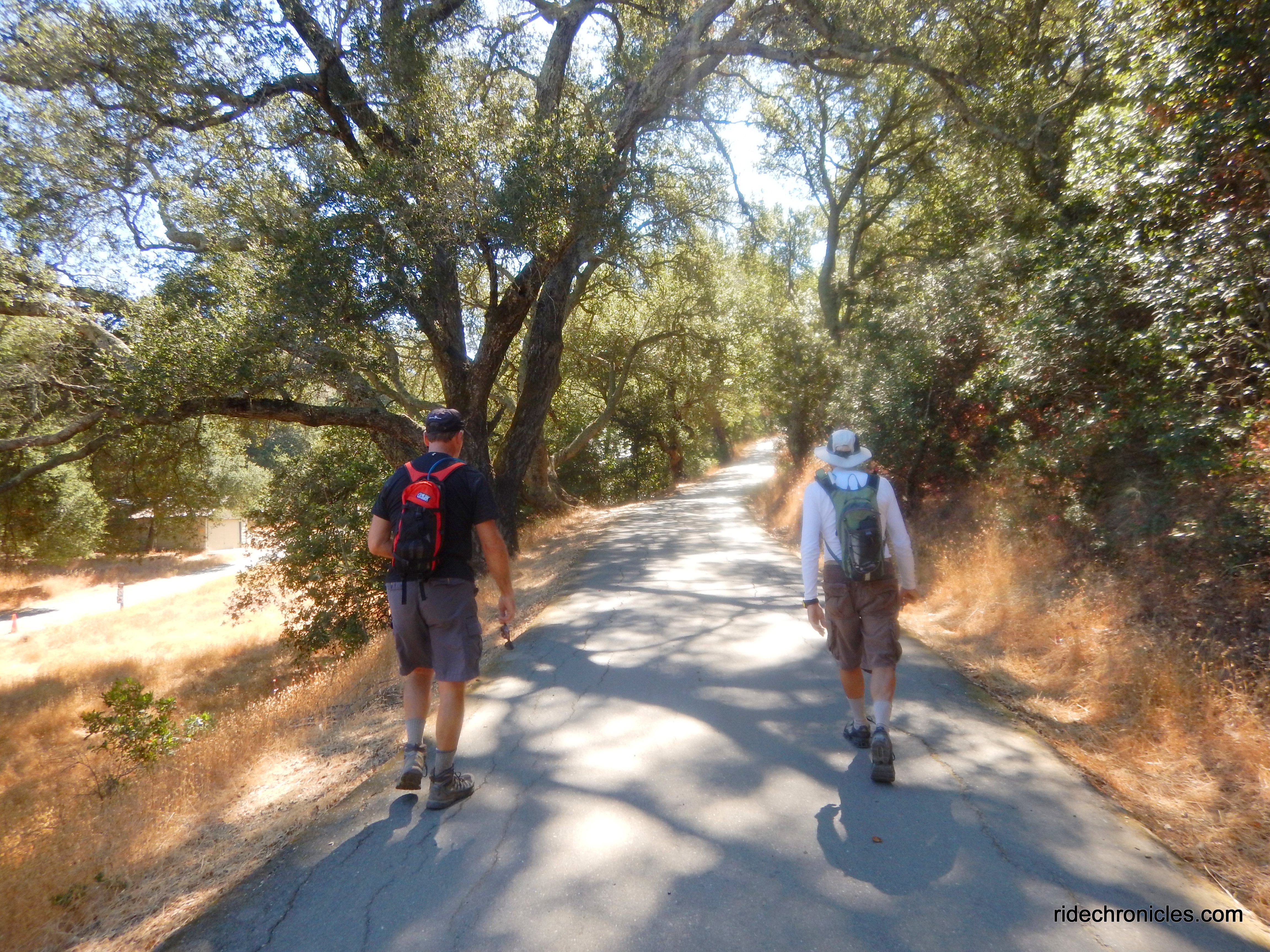 to w fossil ridge tr