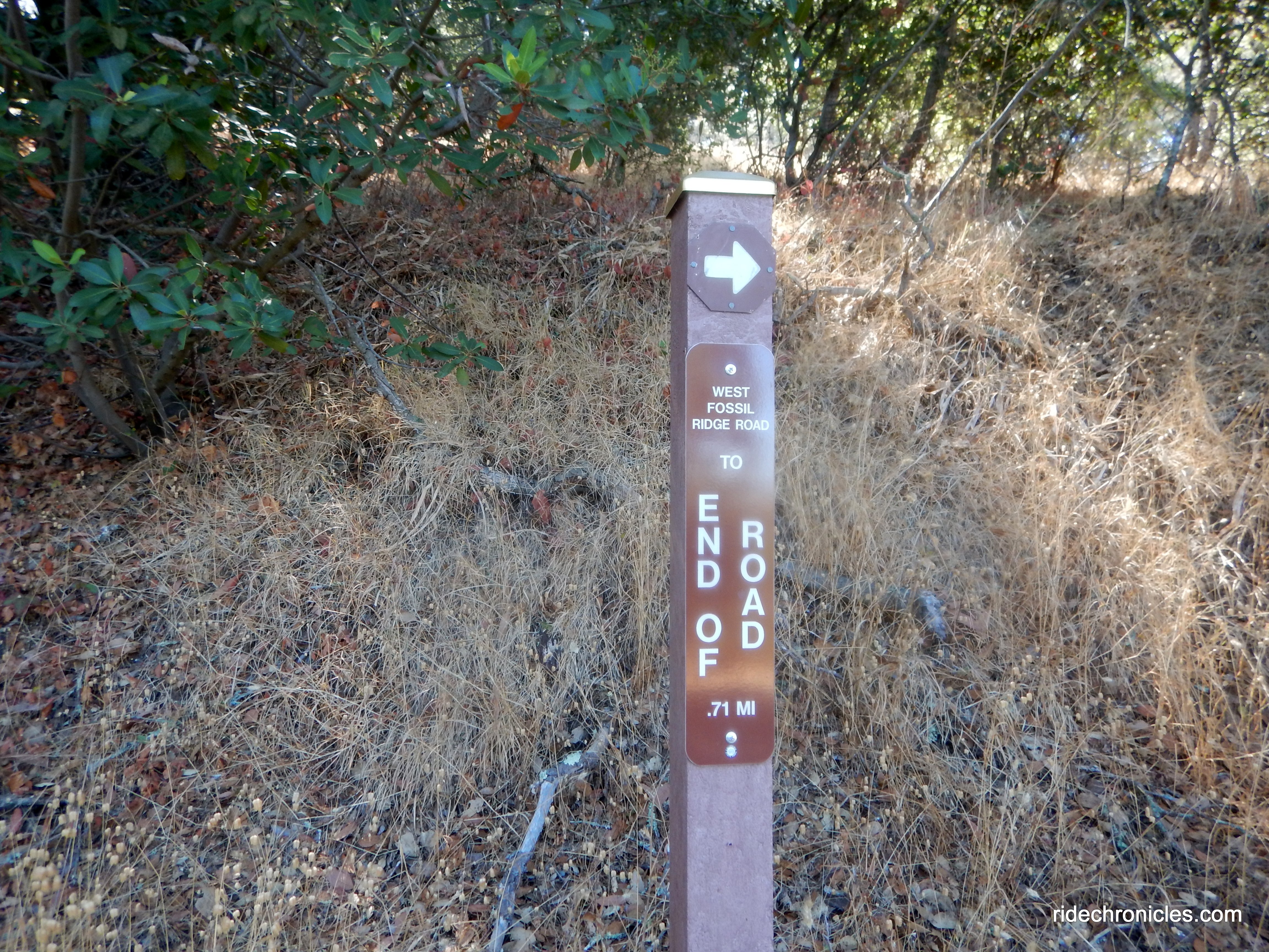 to w fossil ridge tr