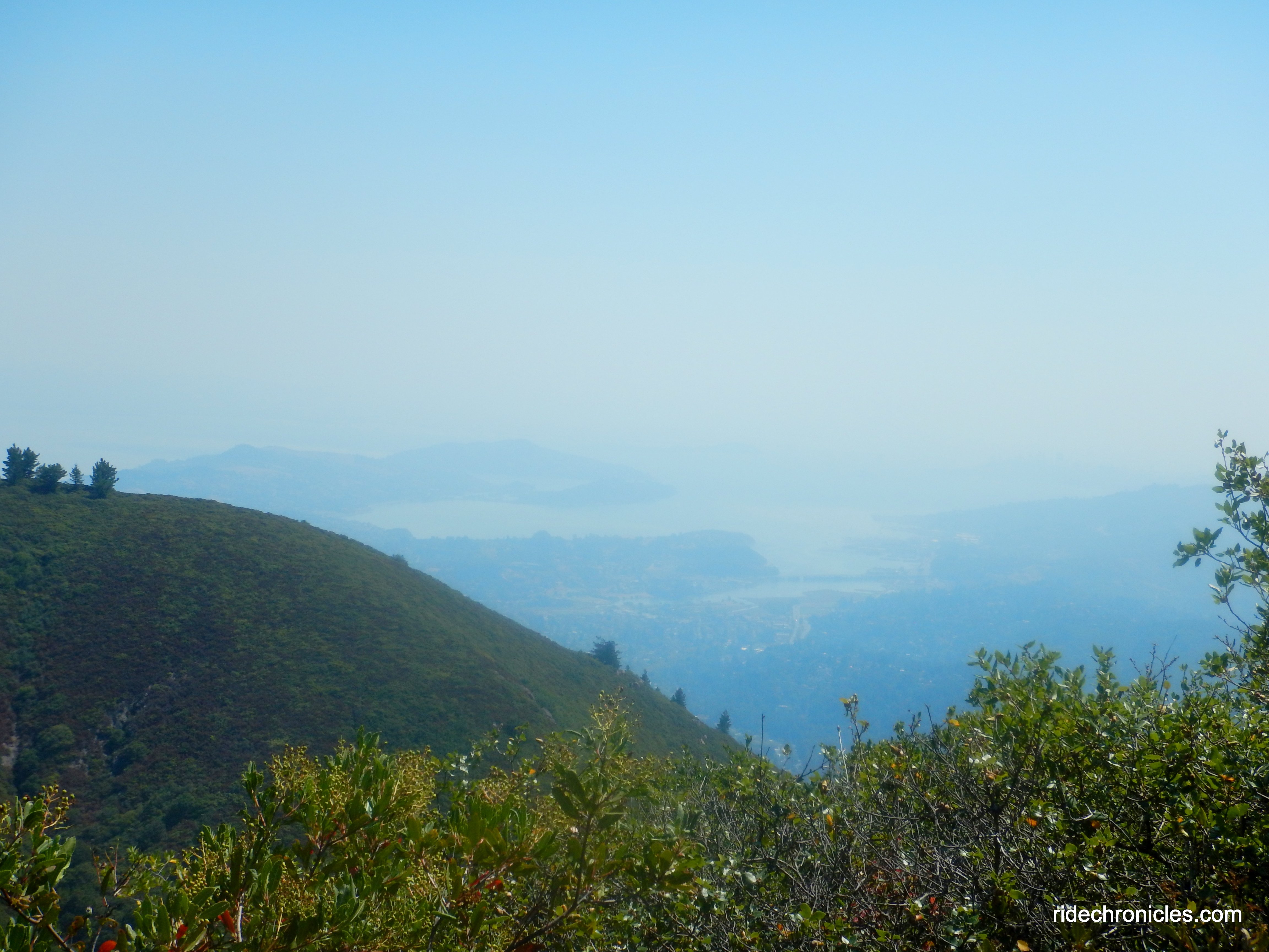 mt tam views