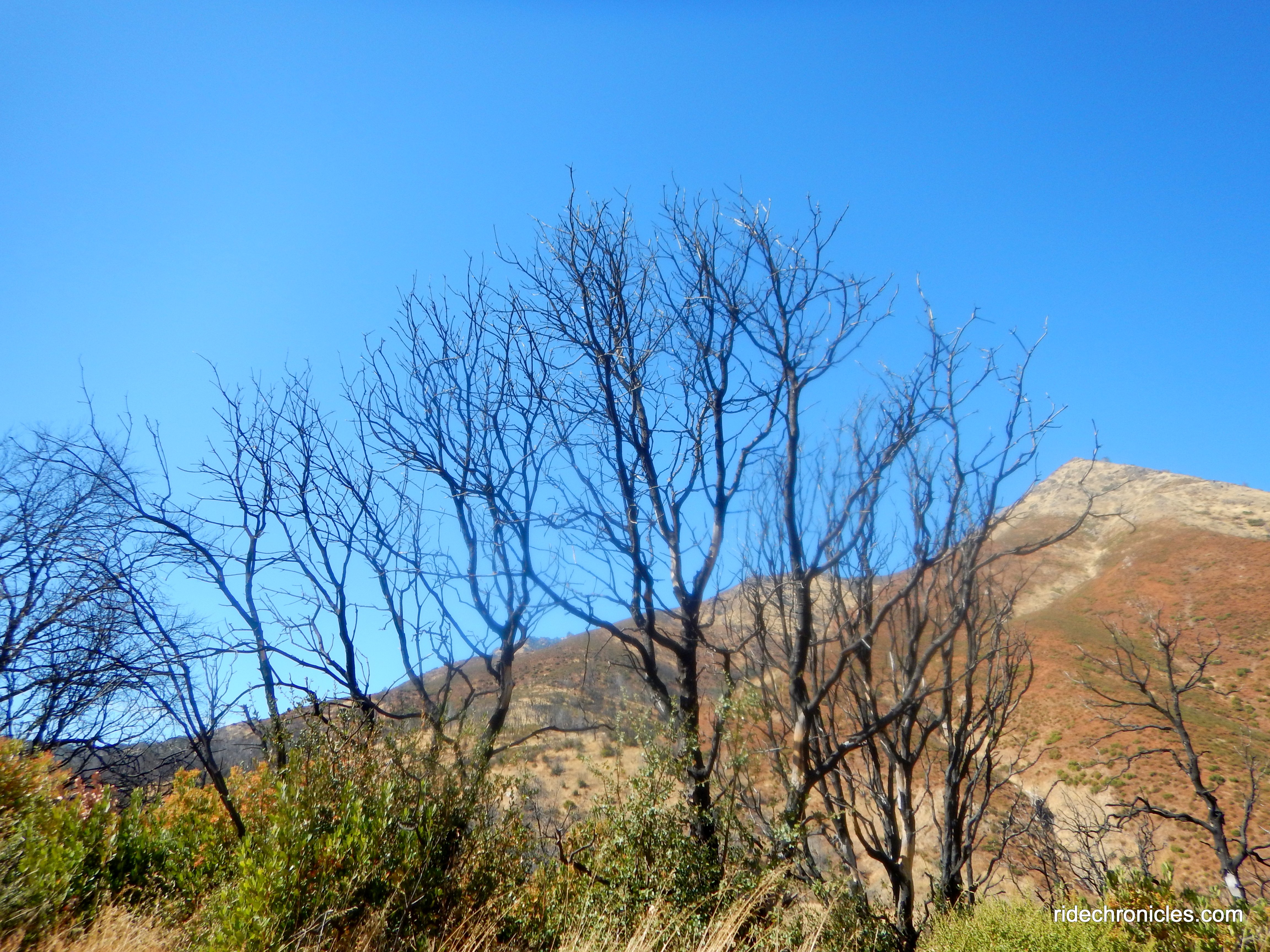 descend to ray morgan