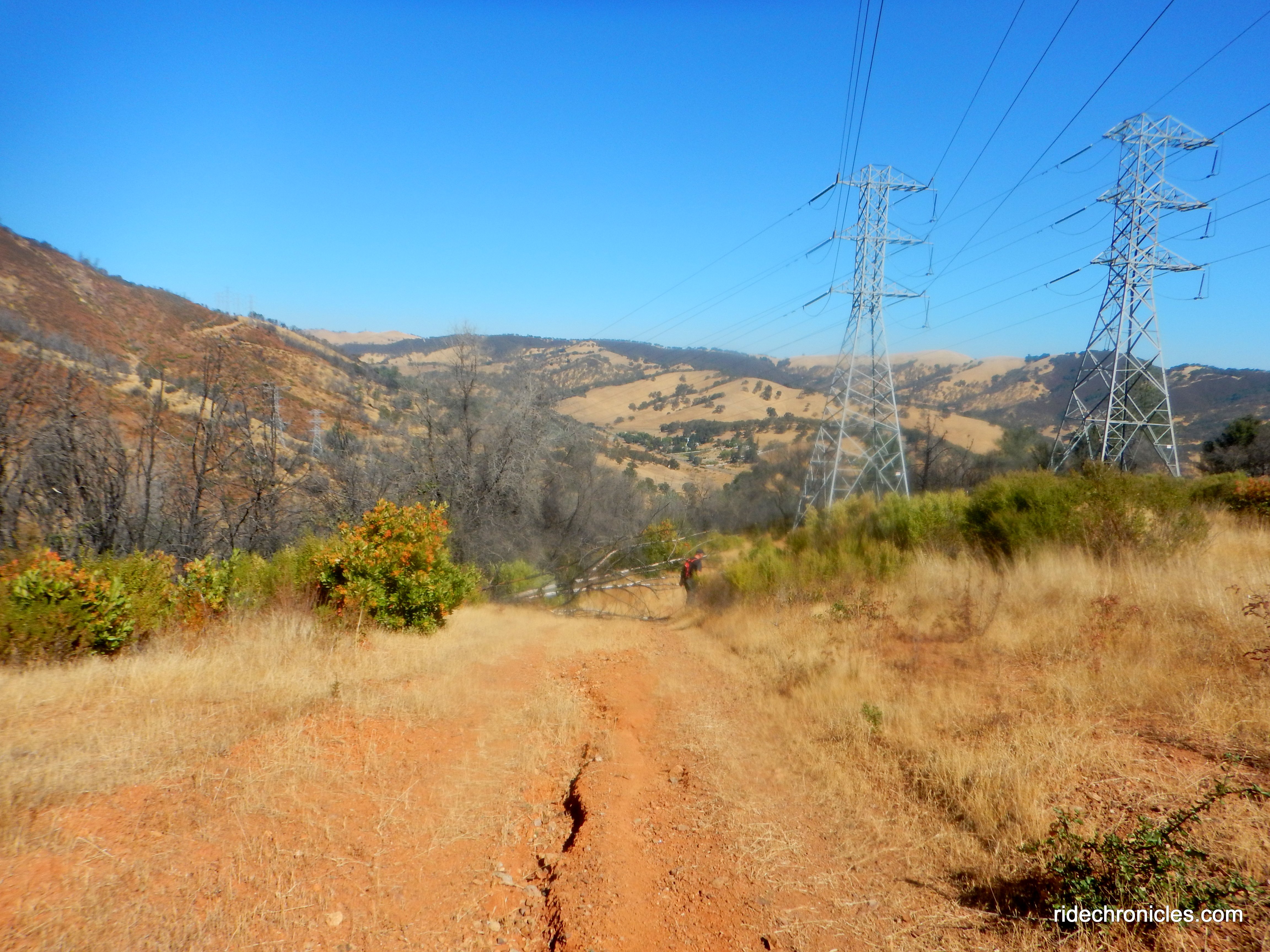 descend to ray morgan