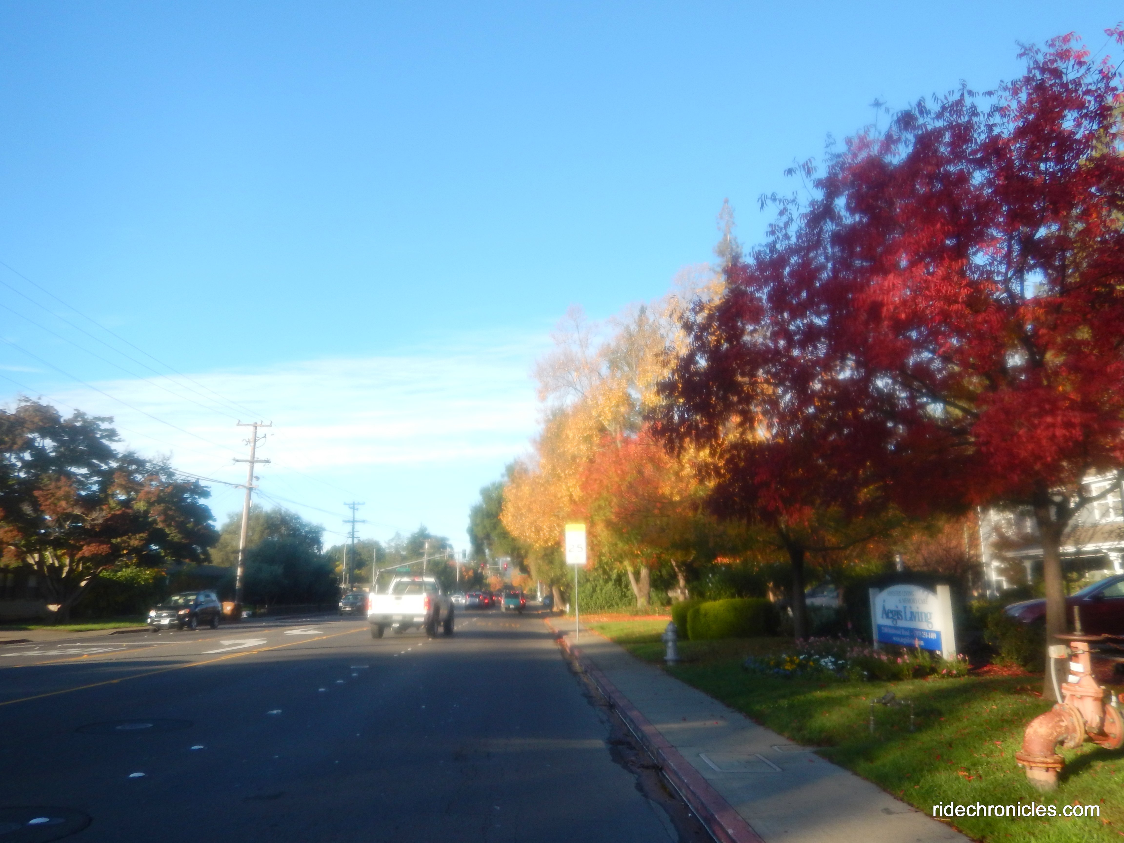 redwood rd