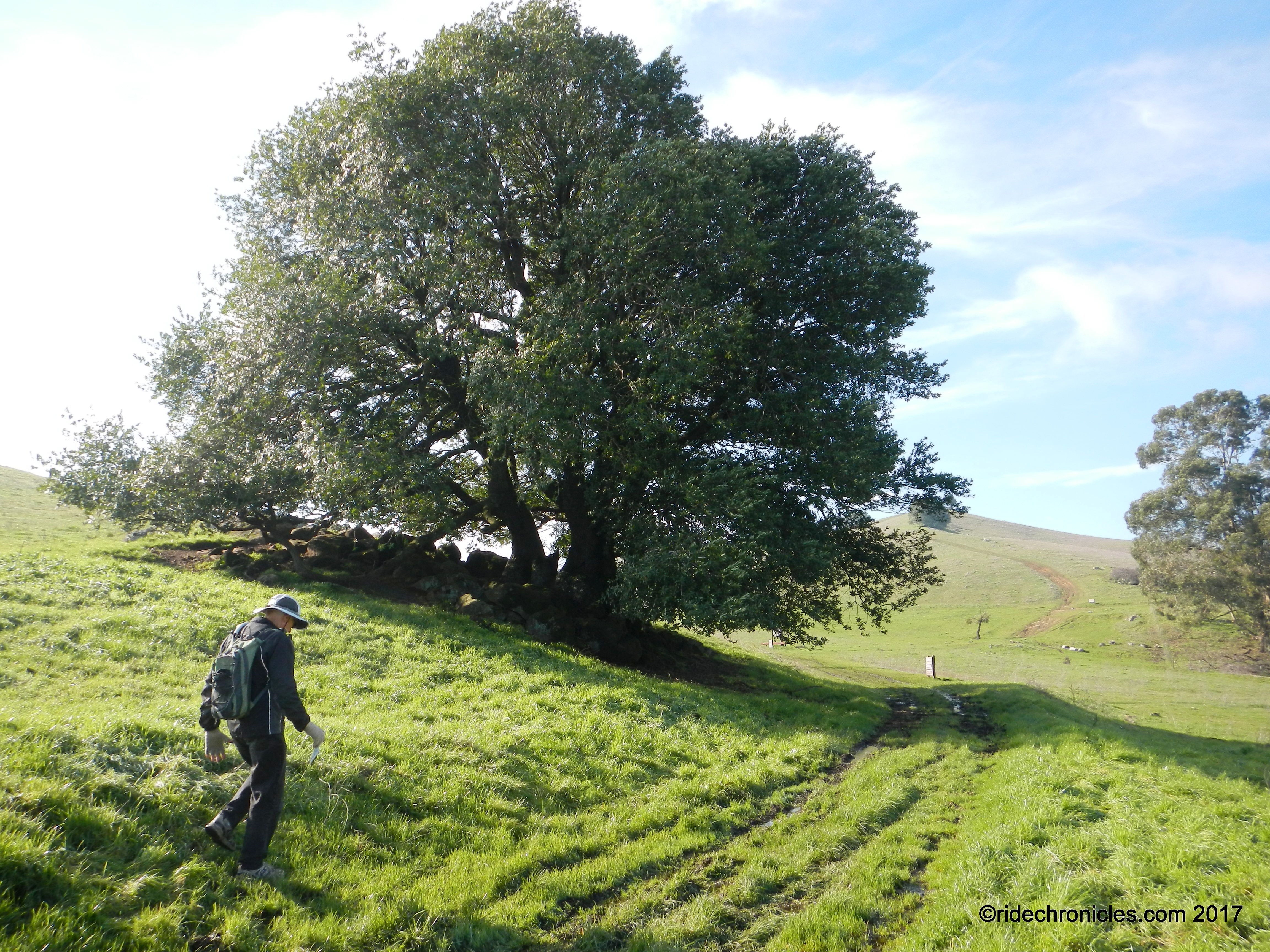towards praire ridge trail