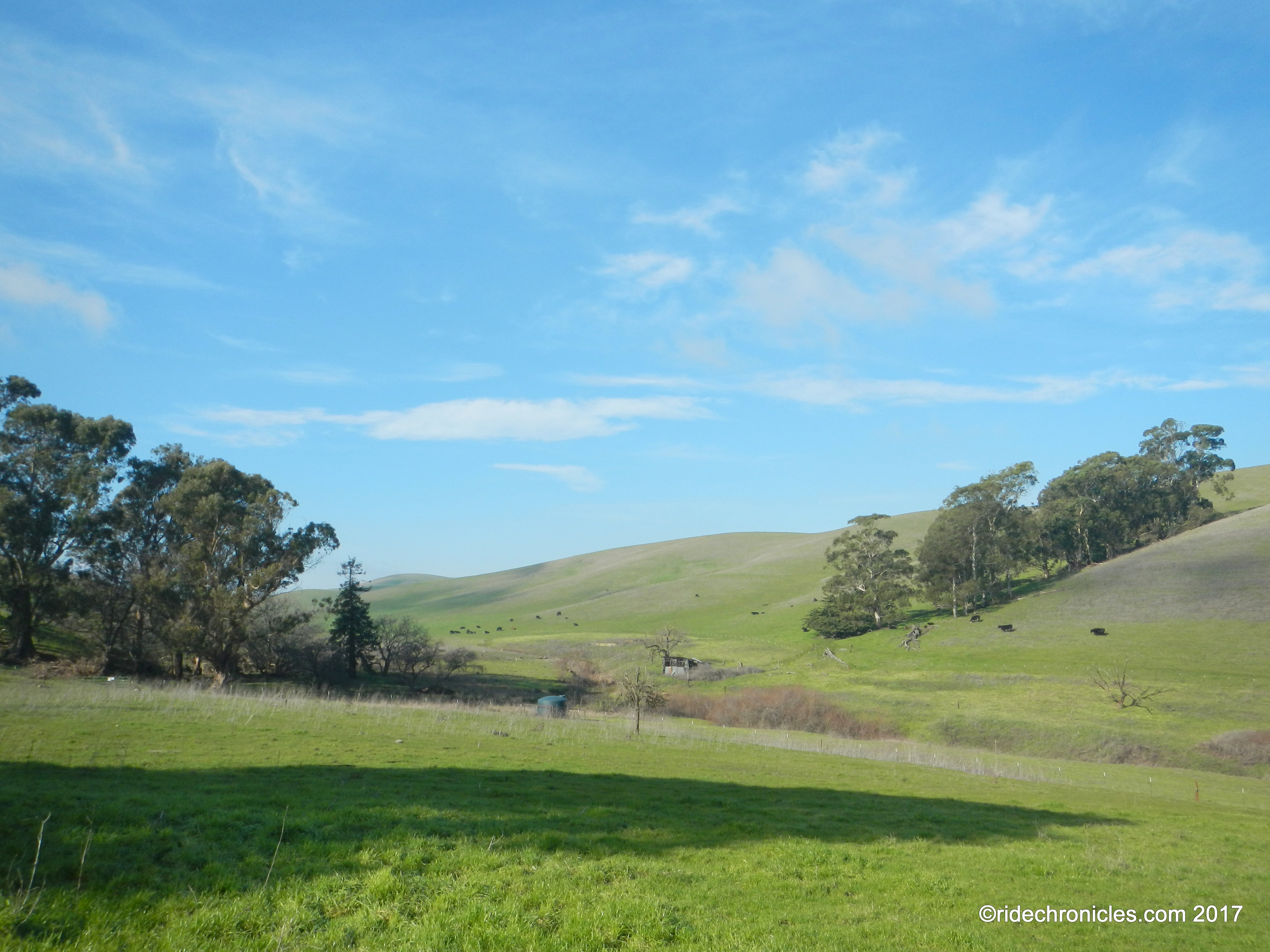 towards praire ridge trail
