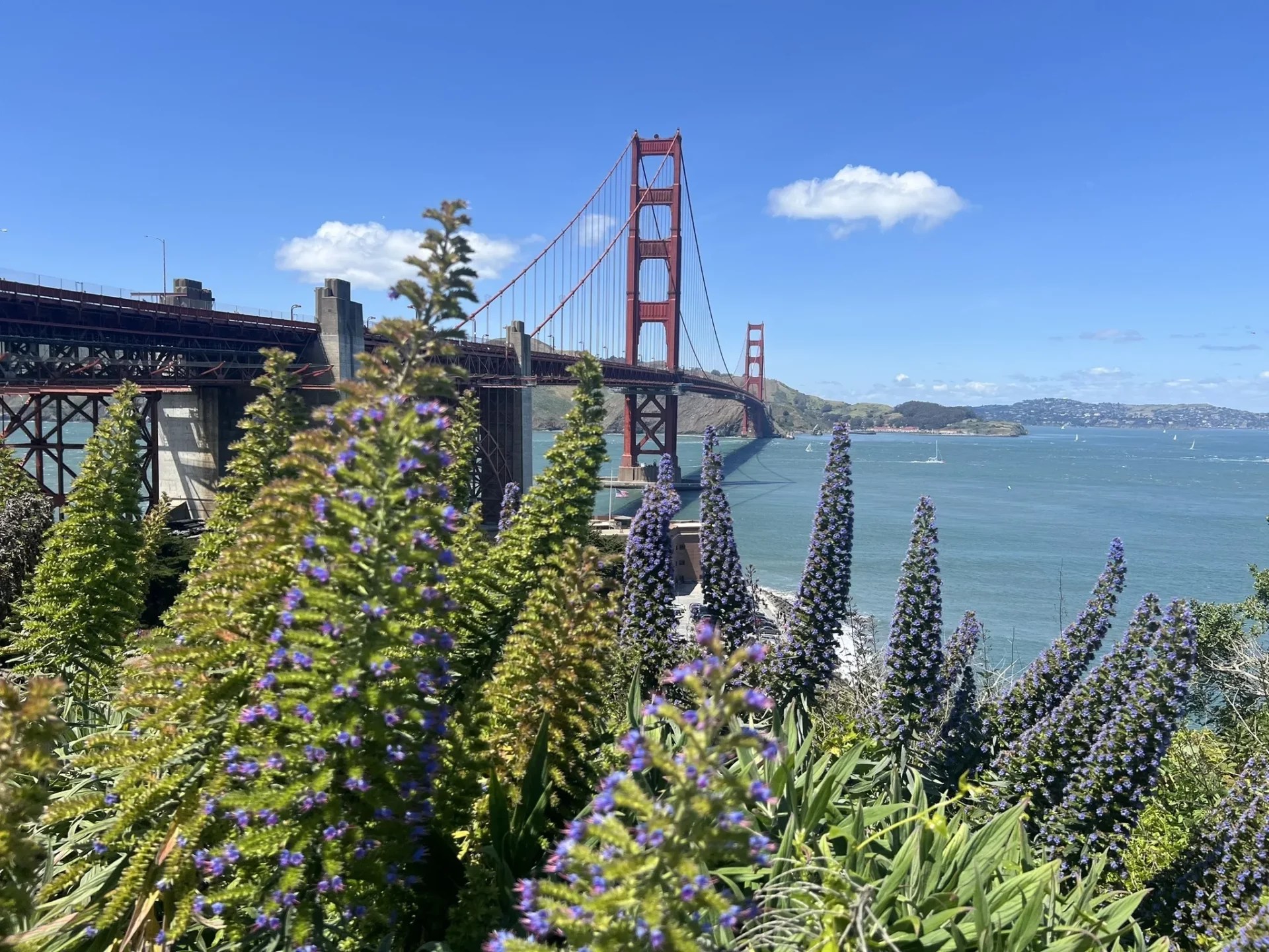 View of the Golden Gate Bridge from Marin Headlands