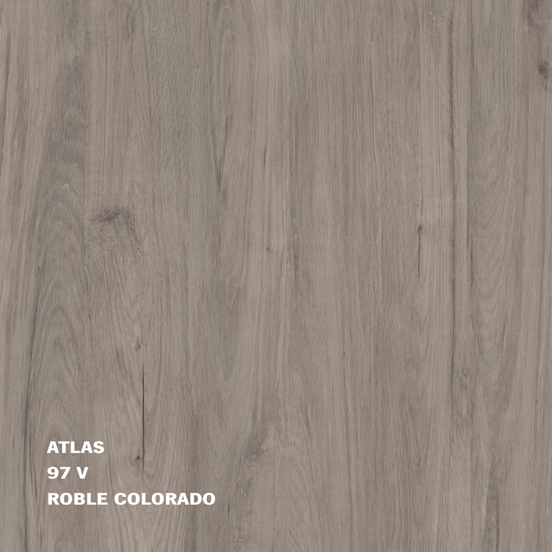 97V Roble Colorado_ATLAS