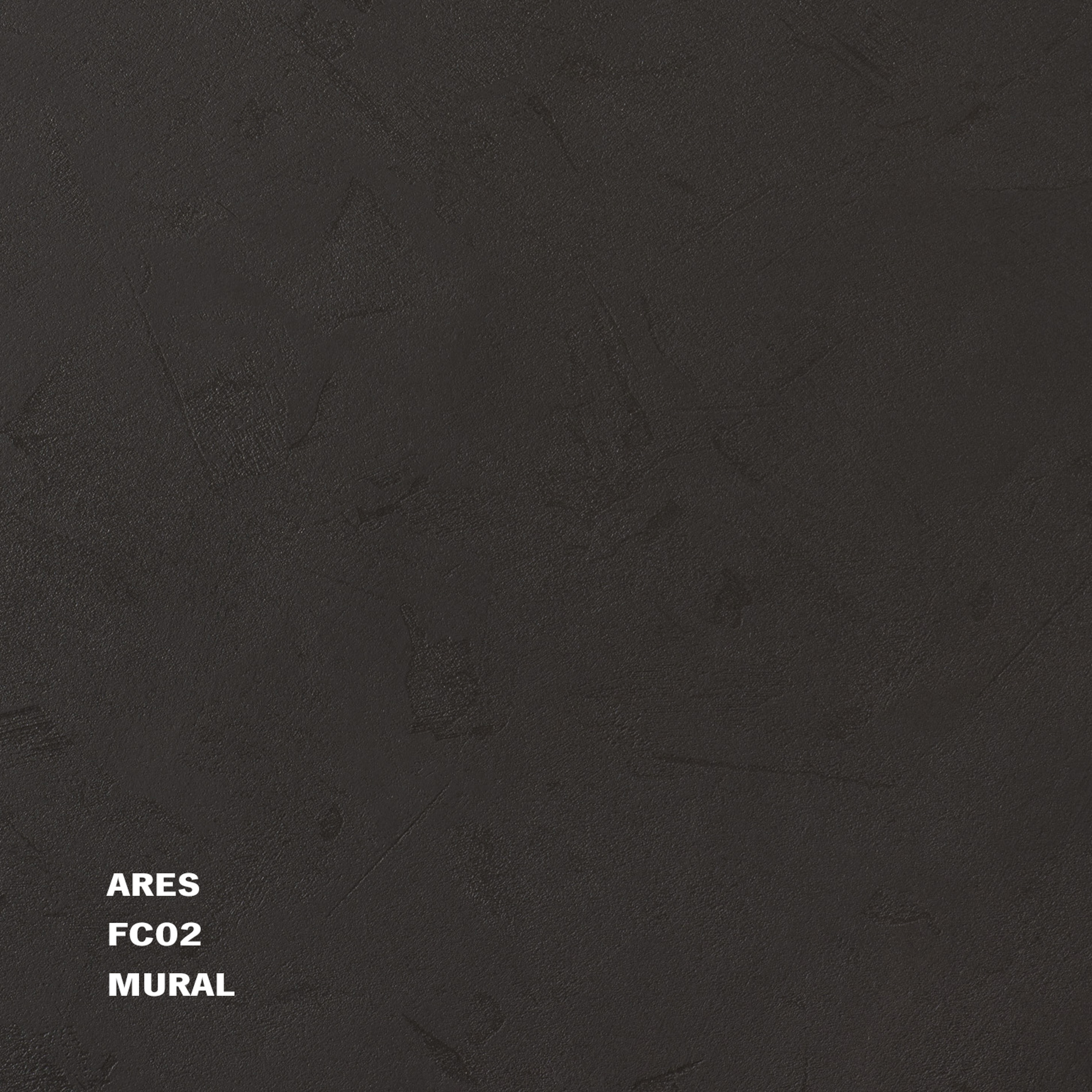 ares_fc02