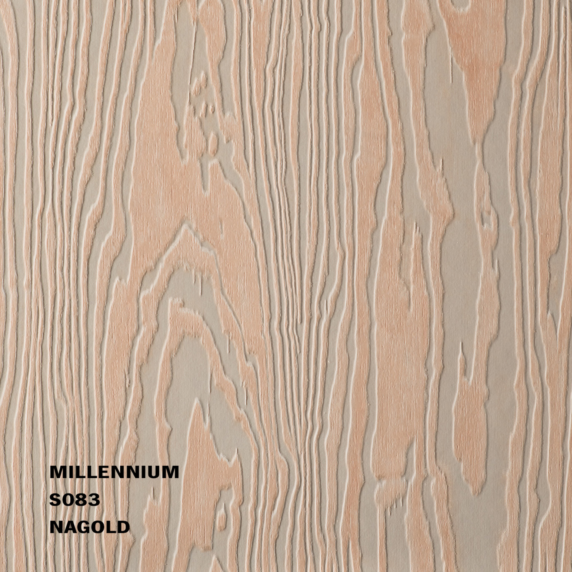 millennium_s083