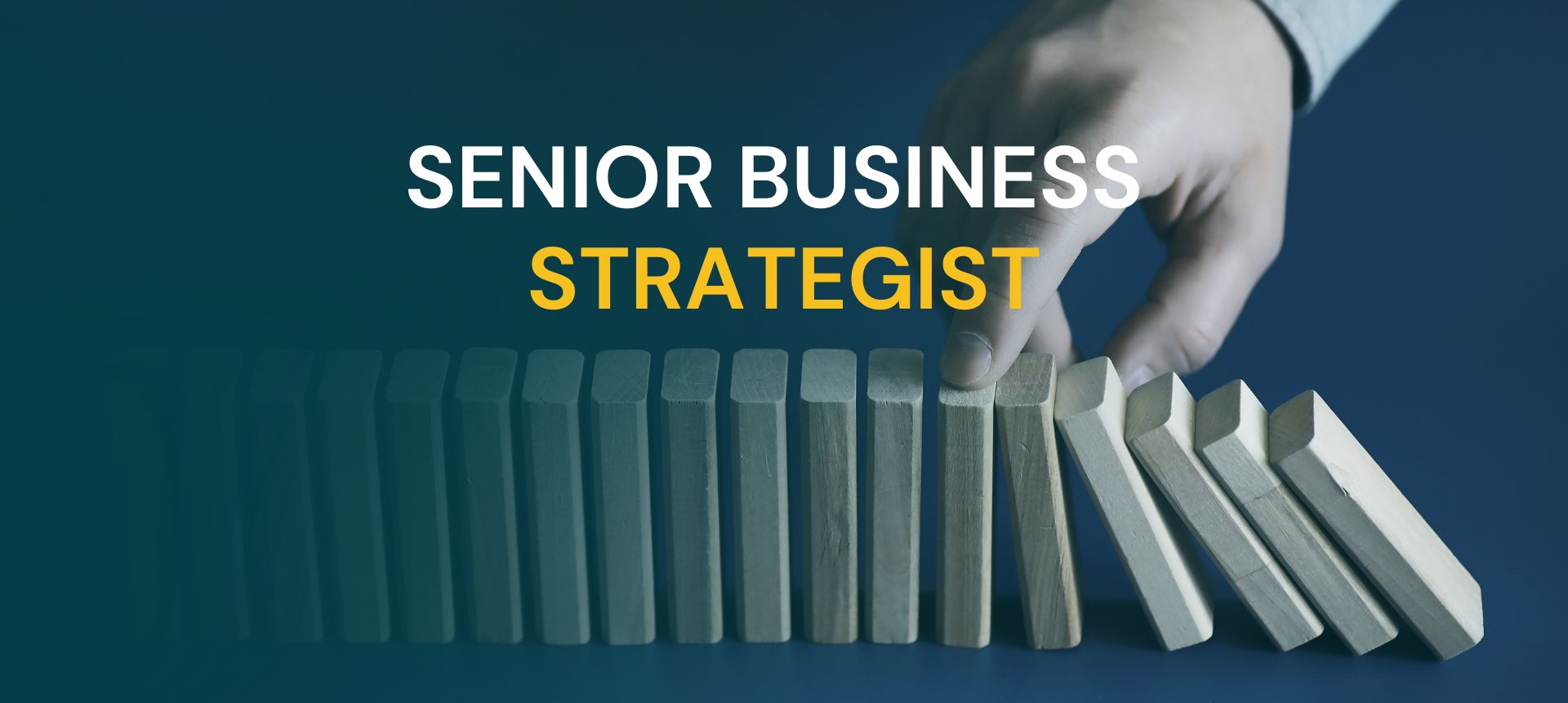 Senior Business Strategist