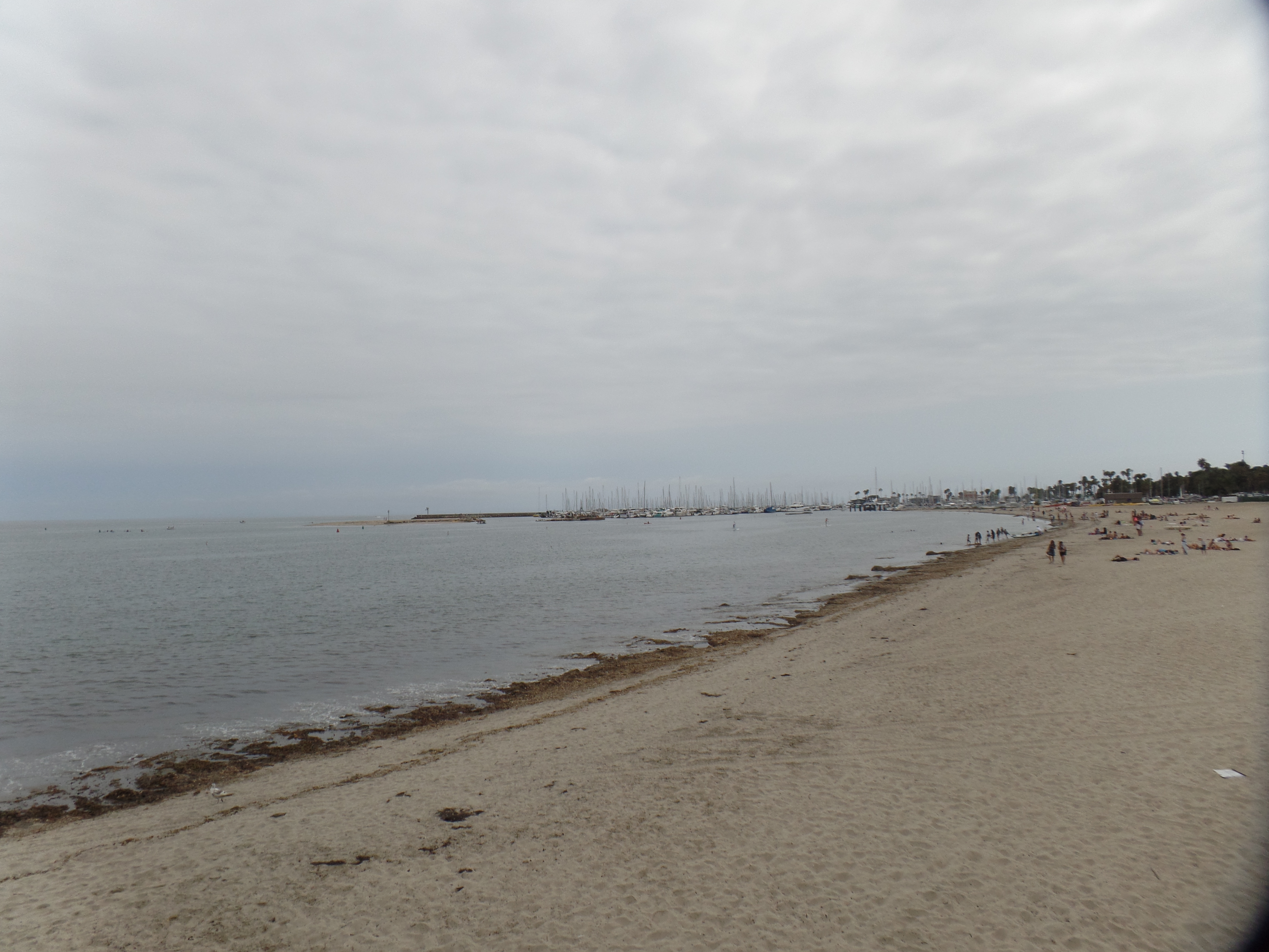 Jack S Bistro And Famous Bagels A Sagittarian Seeker