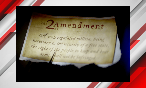 Second Amendment Gun Rights Constitution