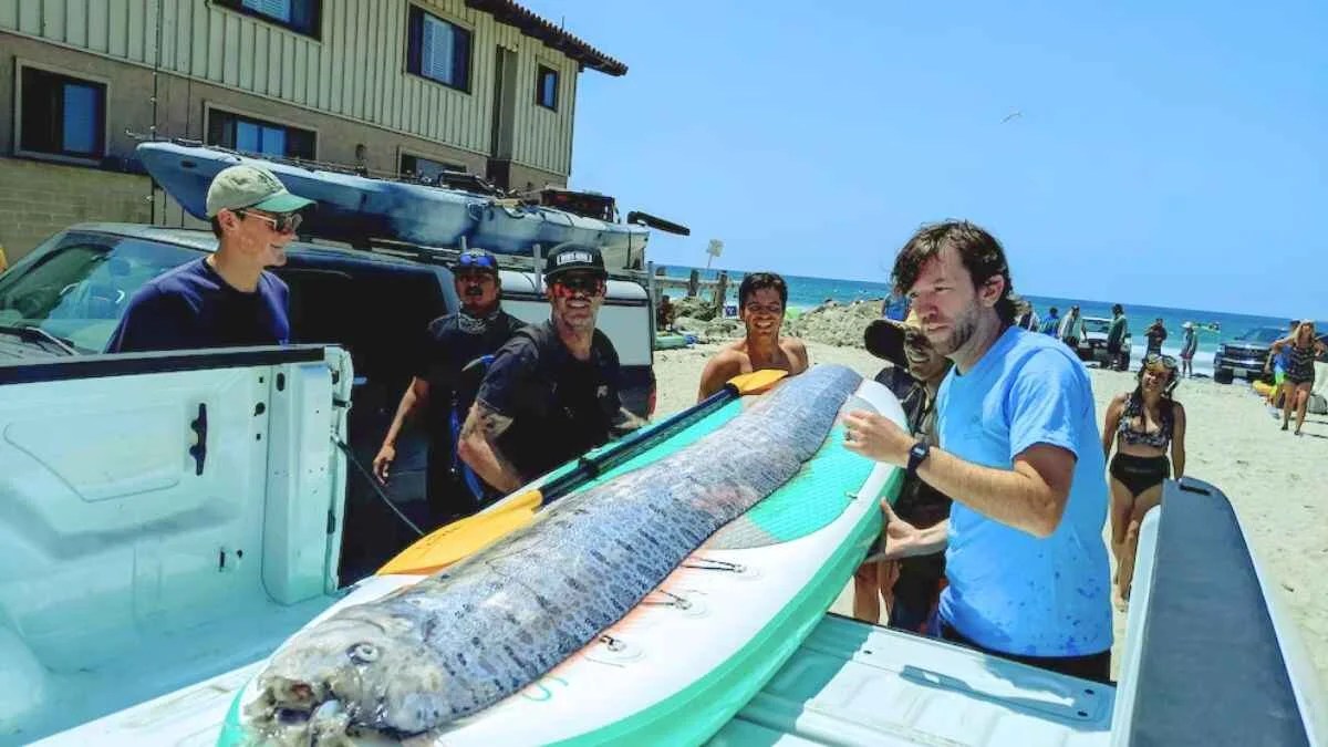 San Diego Deep Sea Fish Discovery