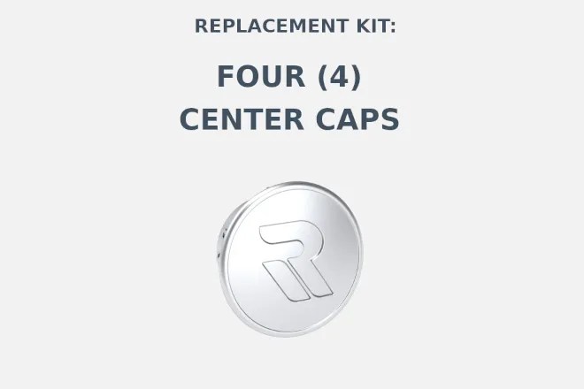 Rimetrix Center Caps Silver