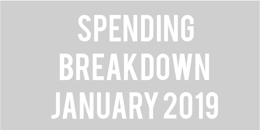 Budget Update: January 2019
  