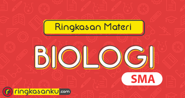 Rangkuman Materi Biologi Kelas 10 Bab 8 Animalia Kurikulum 2013 Revisi 2020 Mari Kuliah Vegetasi pamah dan pegunungan Komponen.